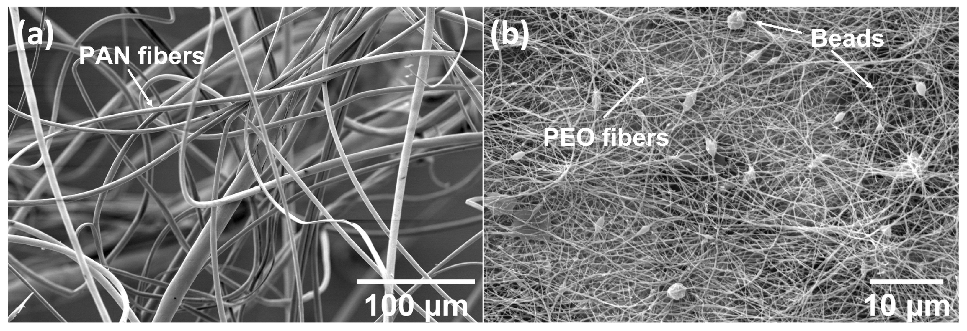 Polymers 14 03943 g003