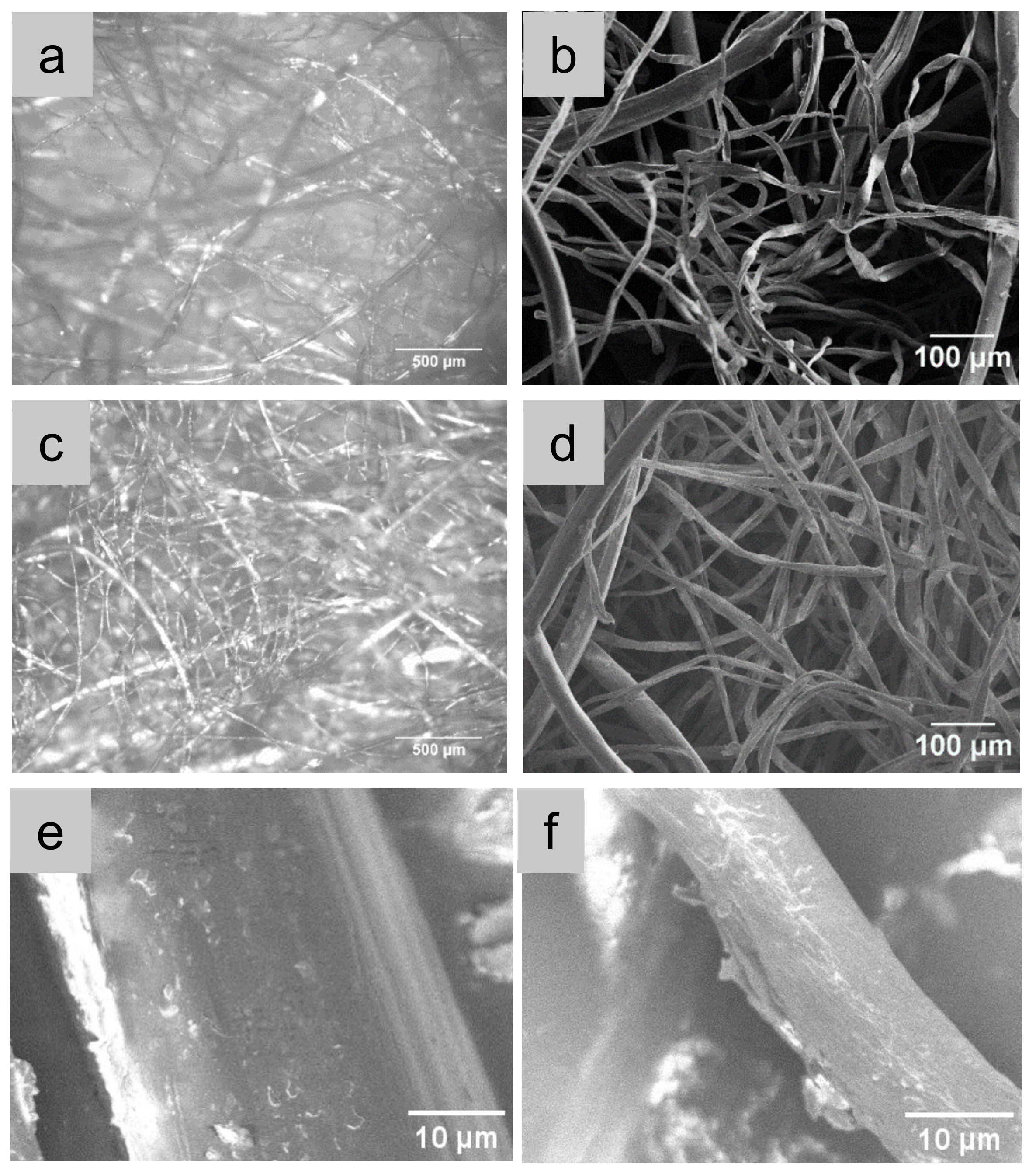 Polymers 14 03946 g003 Polymers 14 03946 g003
