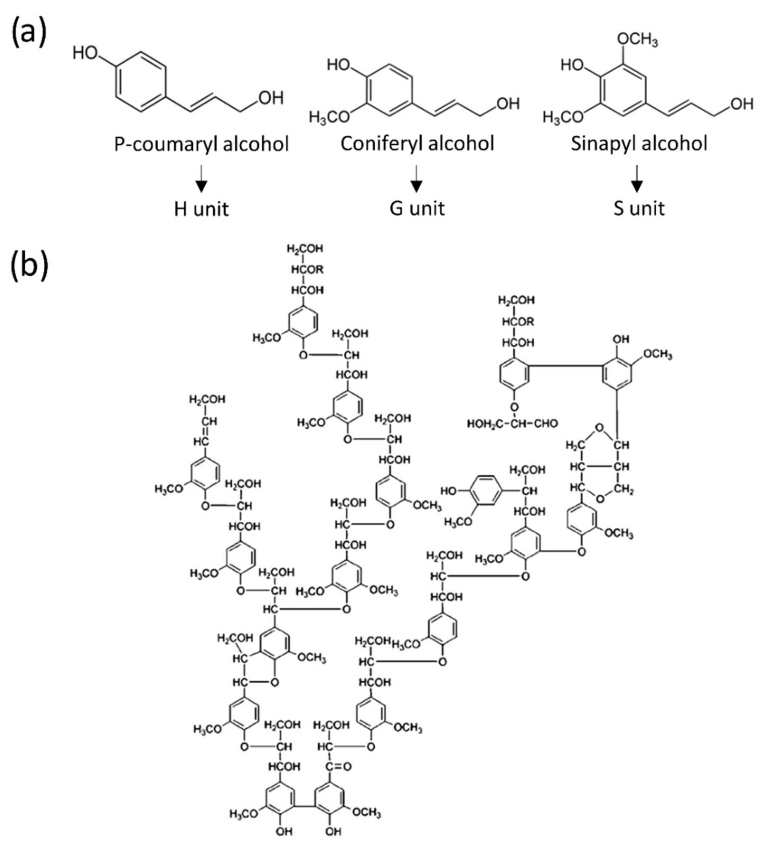 Polymers 14 03974 g010 Polymers 14 03974 g010