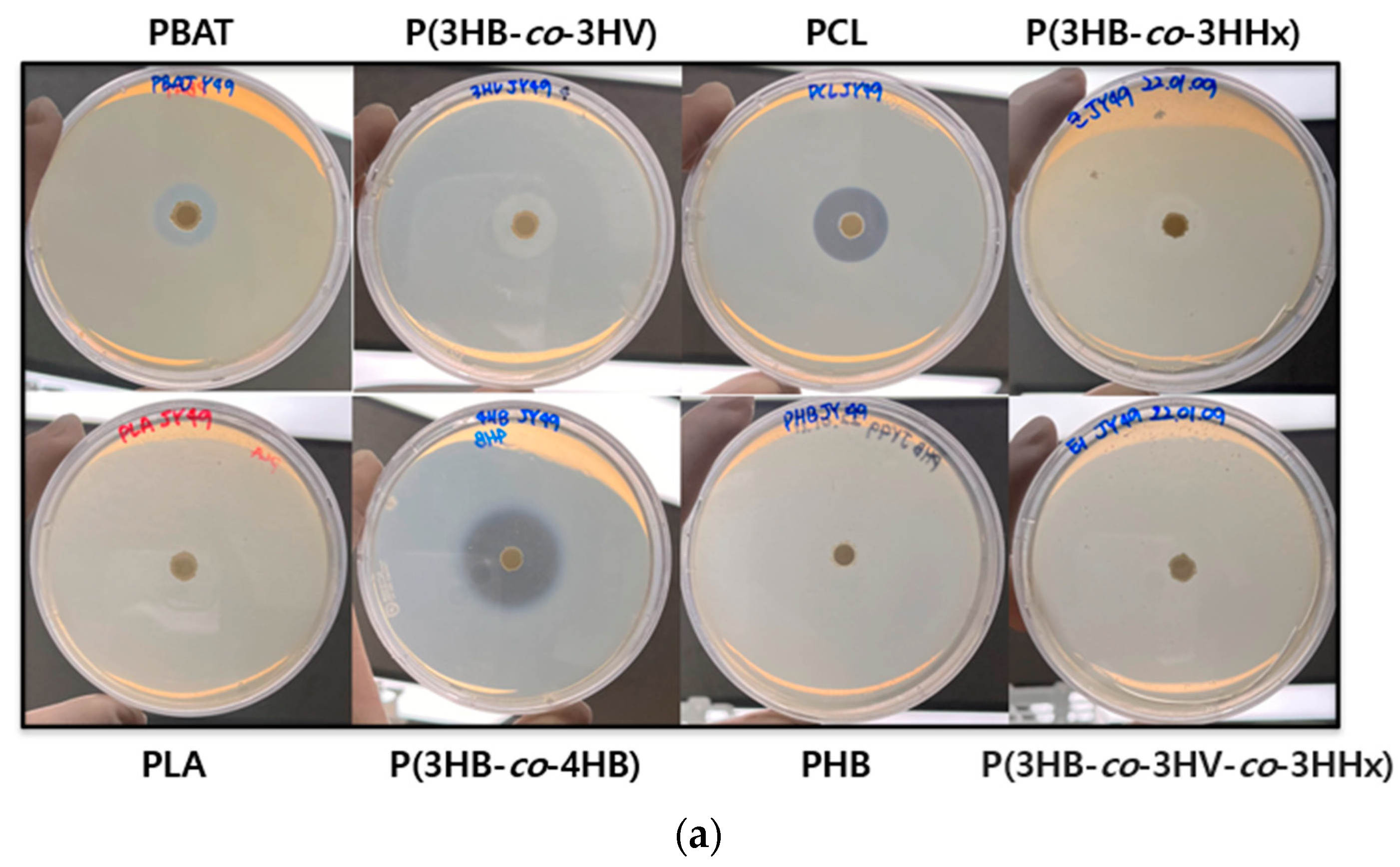 Polymers 14 03978 g006a Polymers 14 03978 g006a