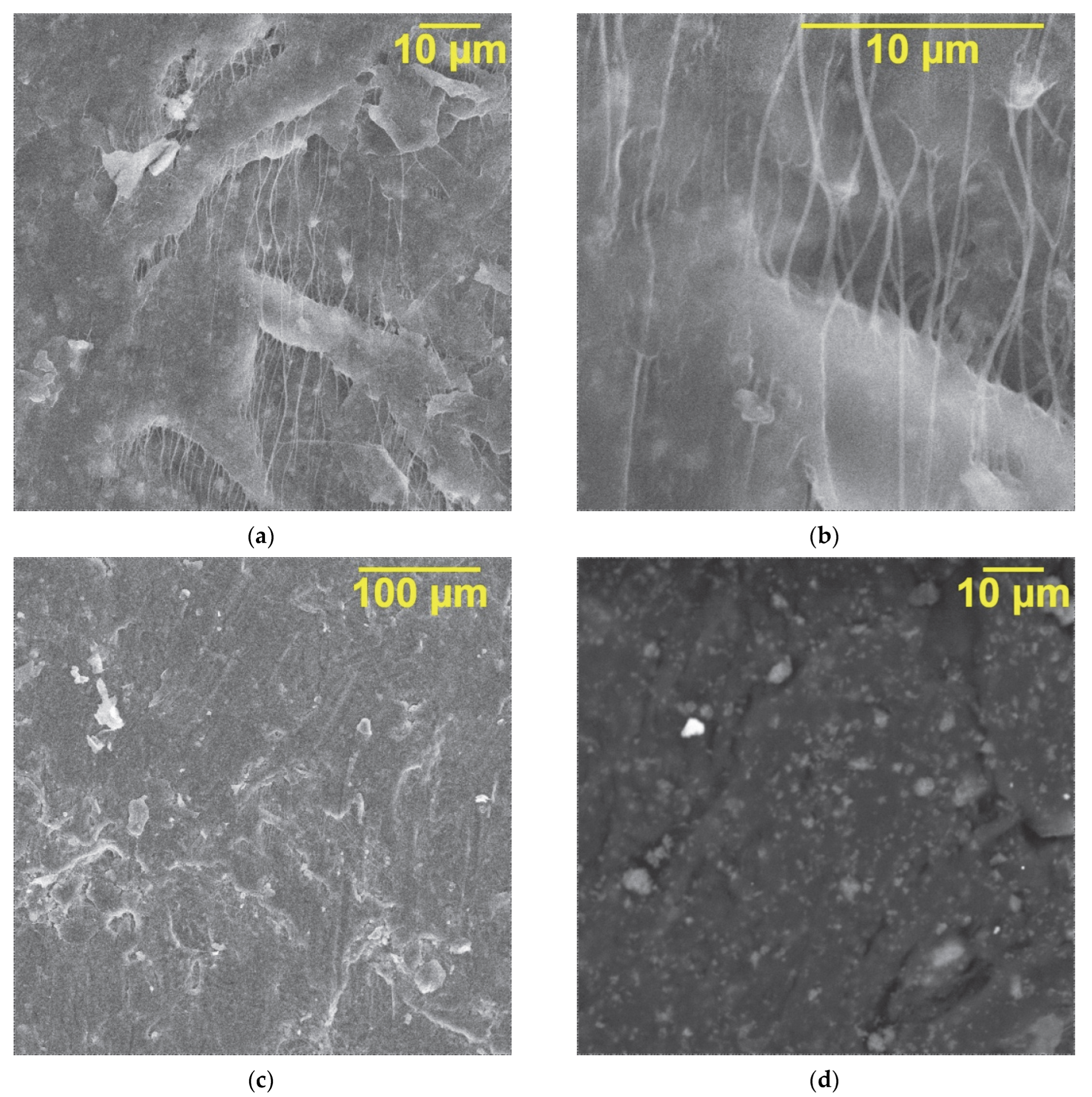 Polymers 14 04010 g005