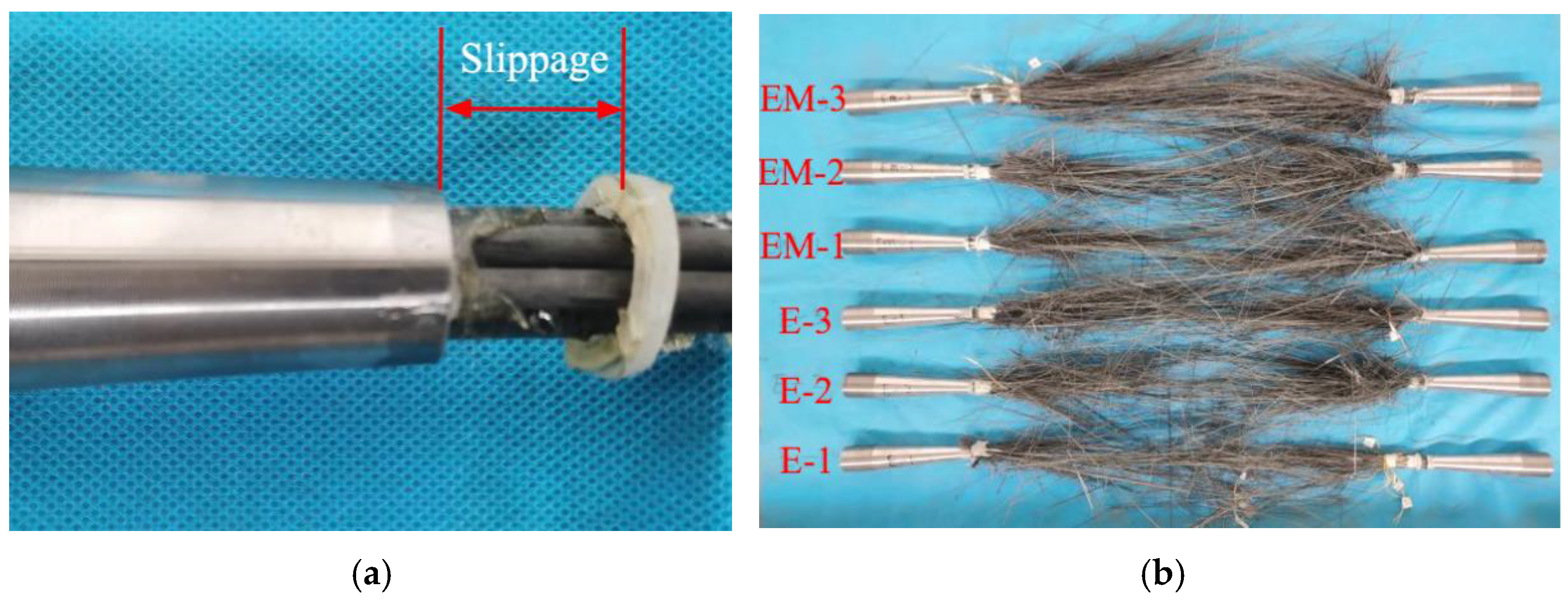 Polymers 14 04015 g011