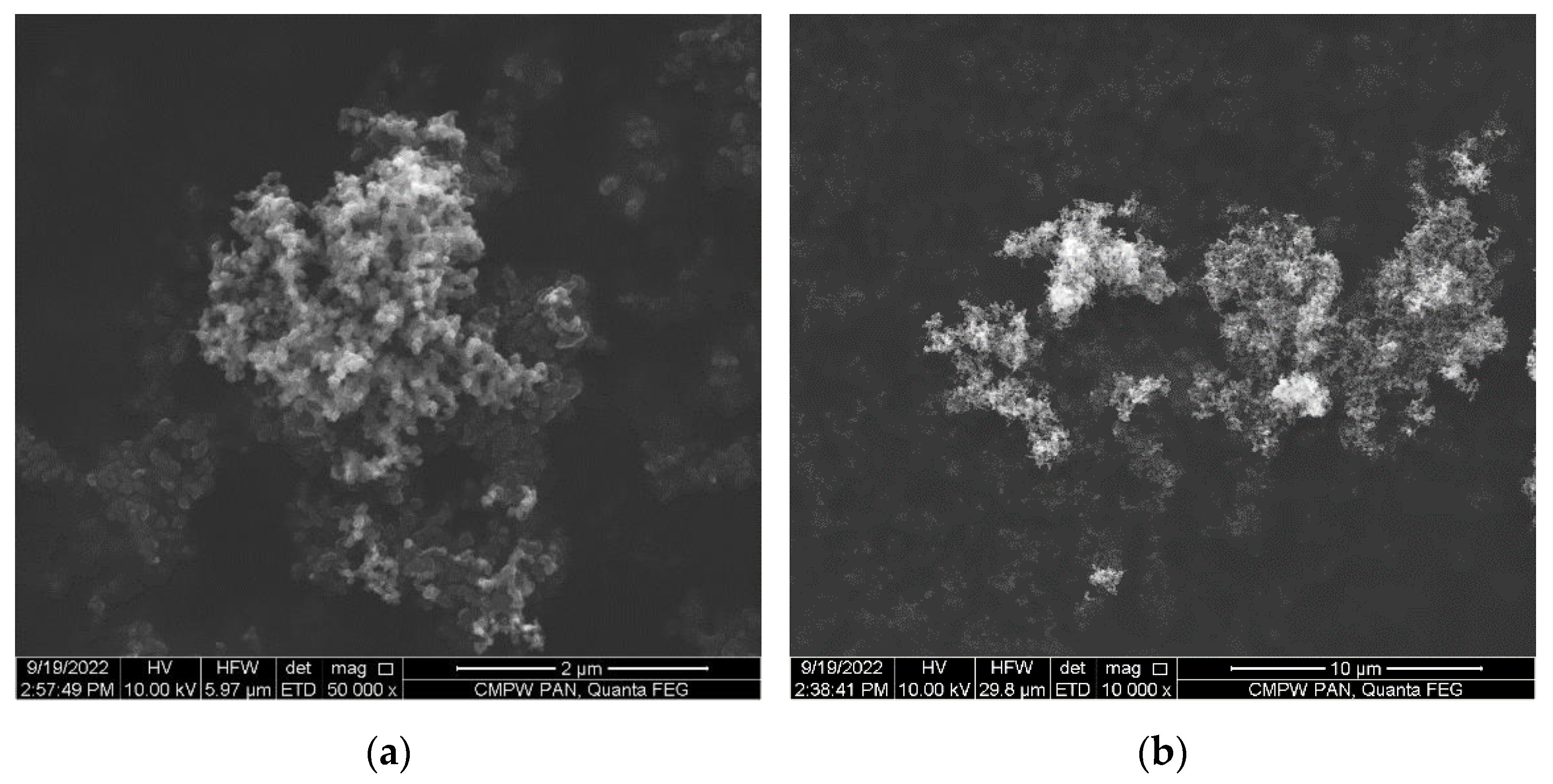 Polymers 14 04022 g001