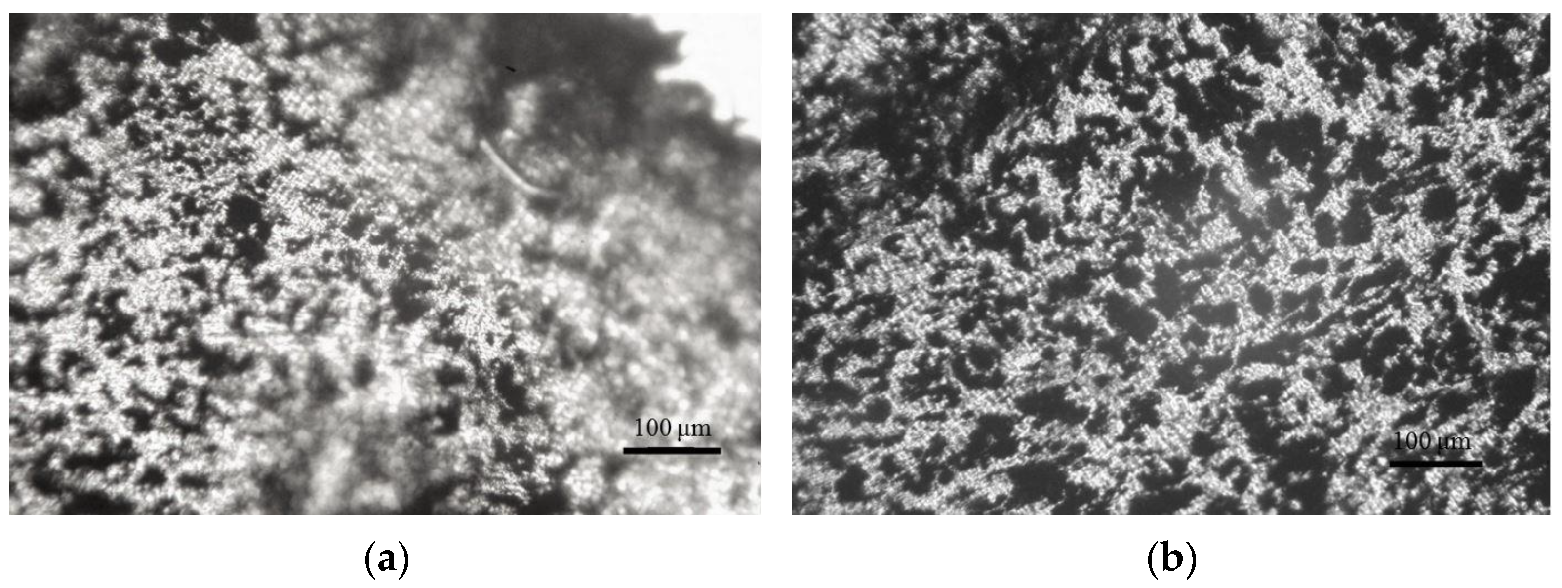 Polymers 14 04022 g006a