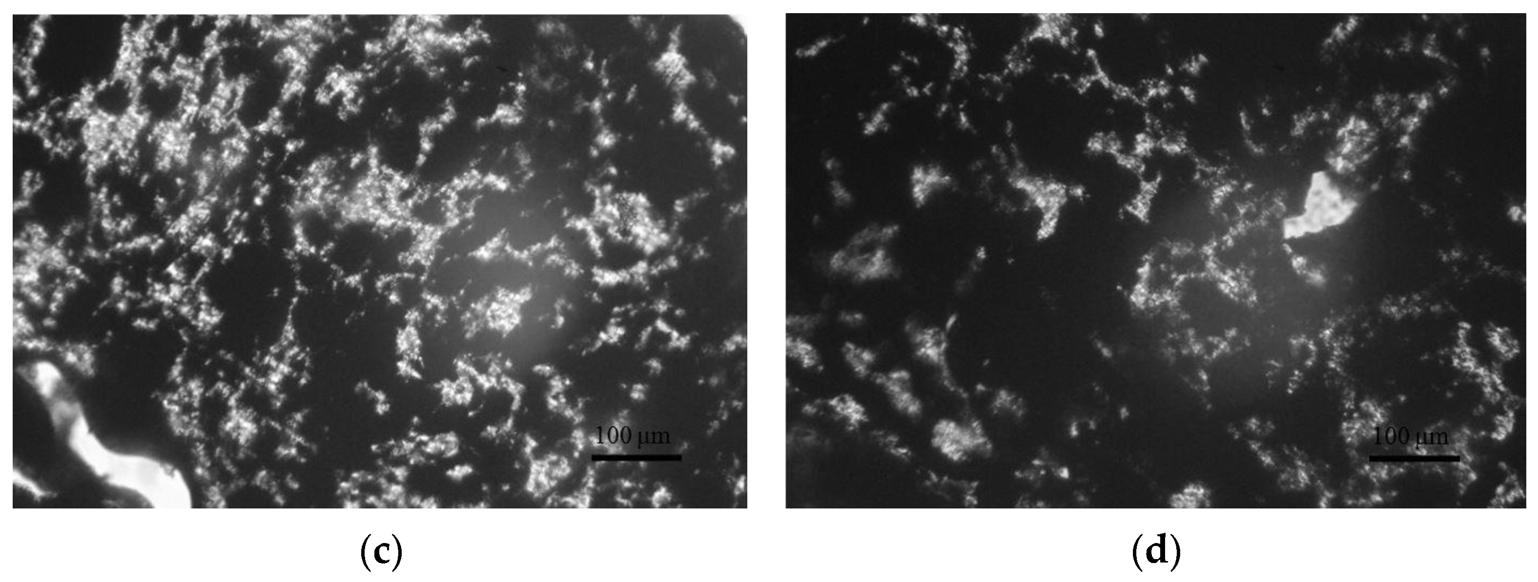 Polymers 14 04022 g006b