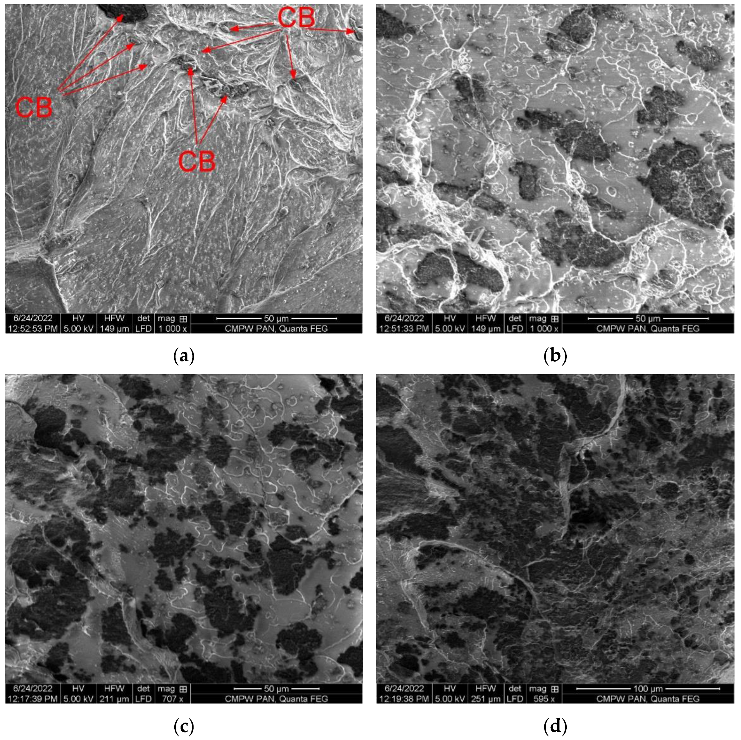 Polymers 14 04022 g008