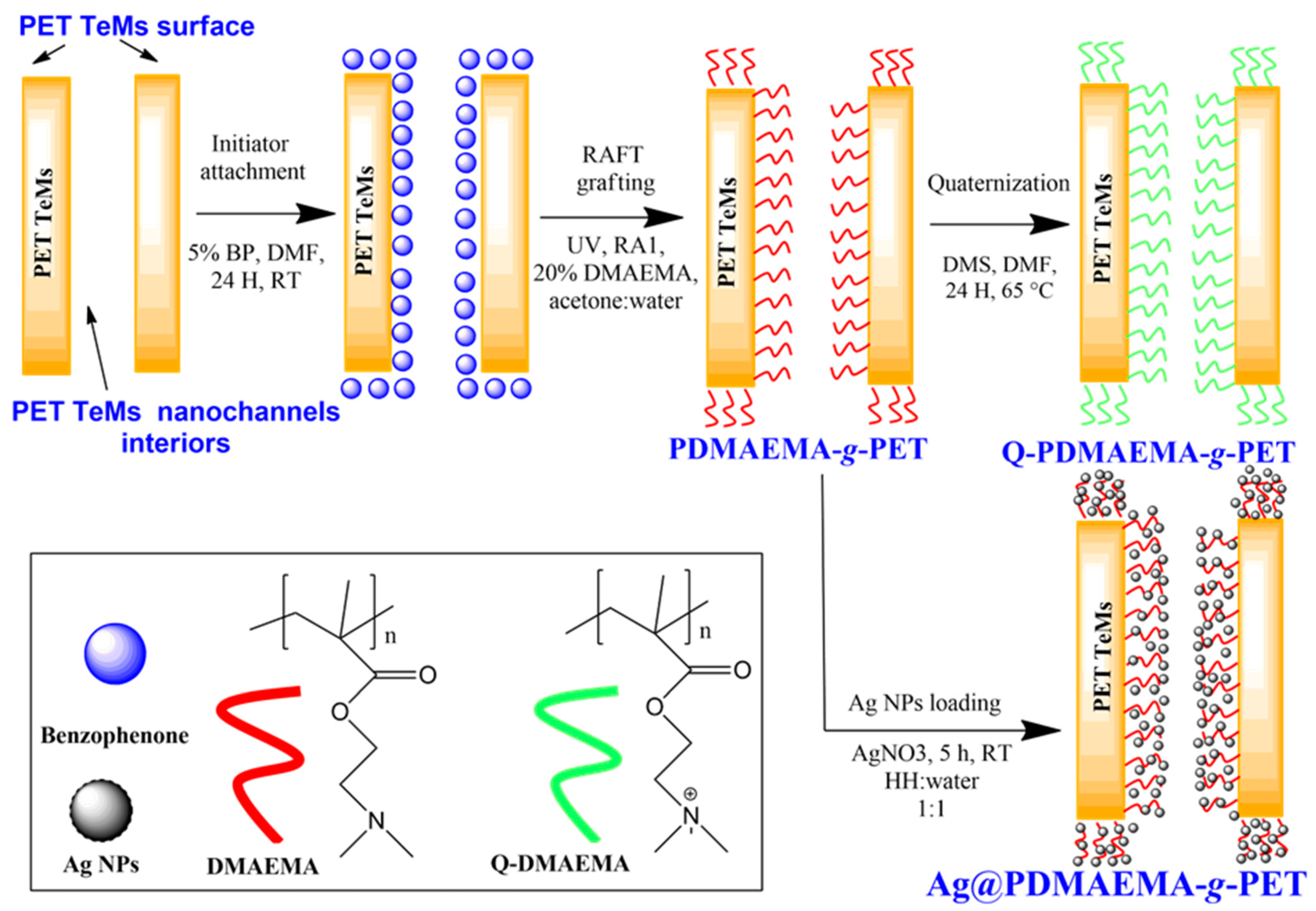 Polymers 14 04026 g001