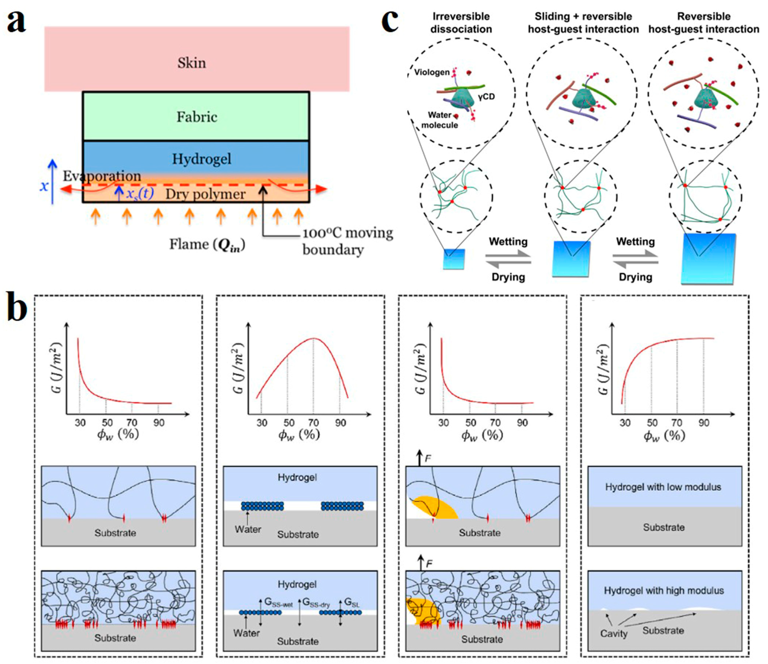 Polymers 14 04037 g002 Polymers 14 04037 g002
