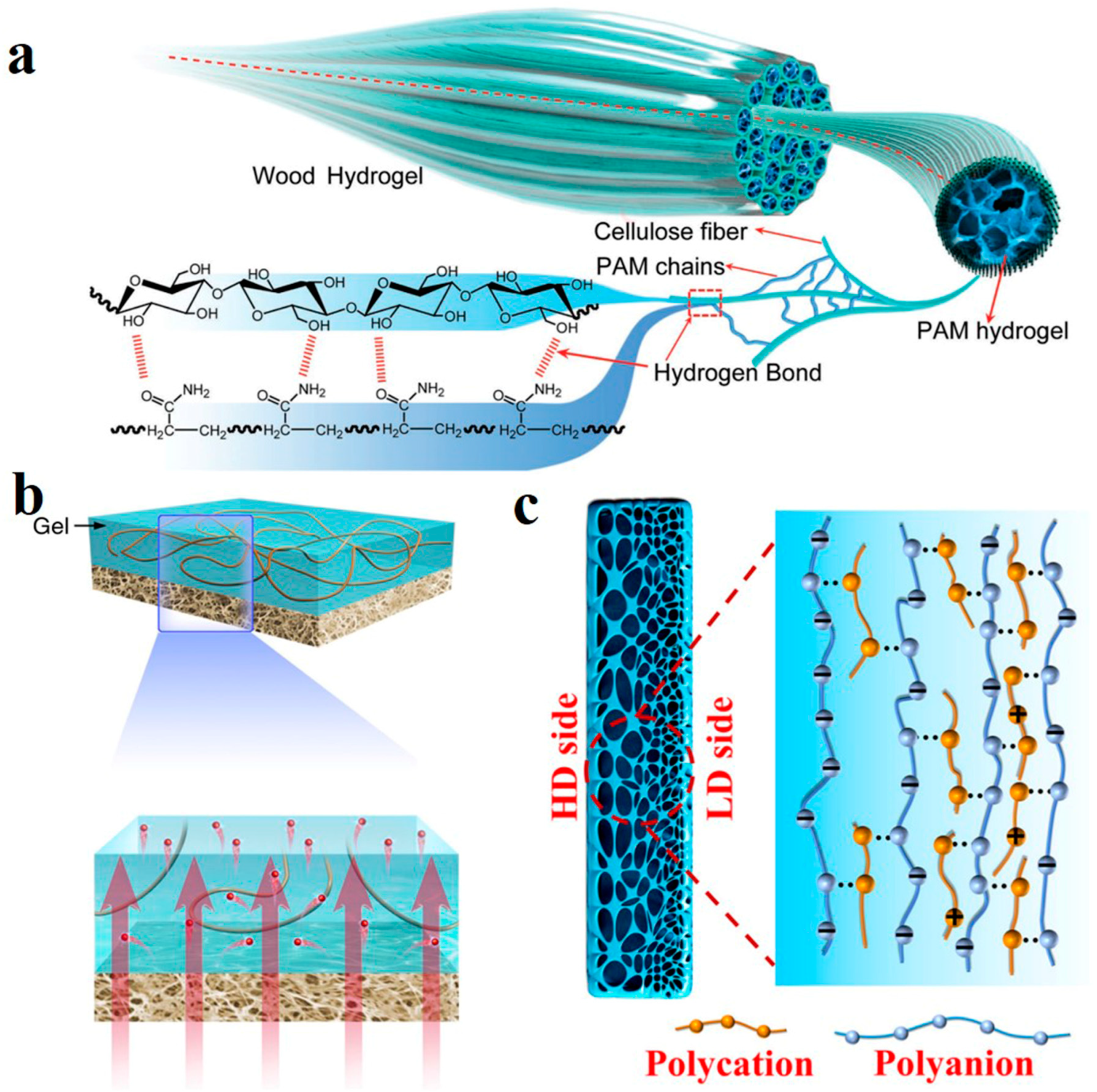 Polymers 14 04037 g009 Polymers 14 04037 g009