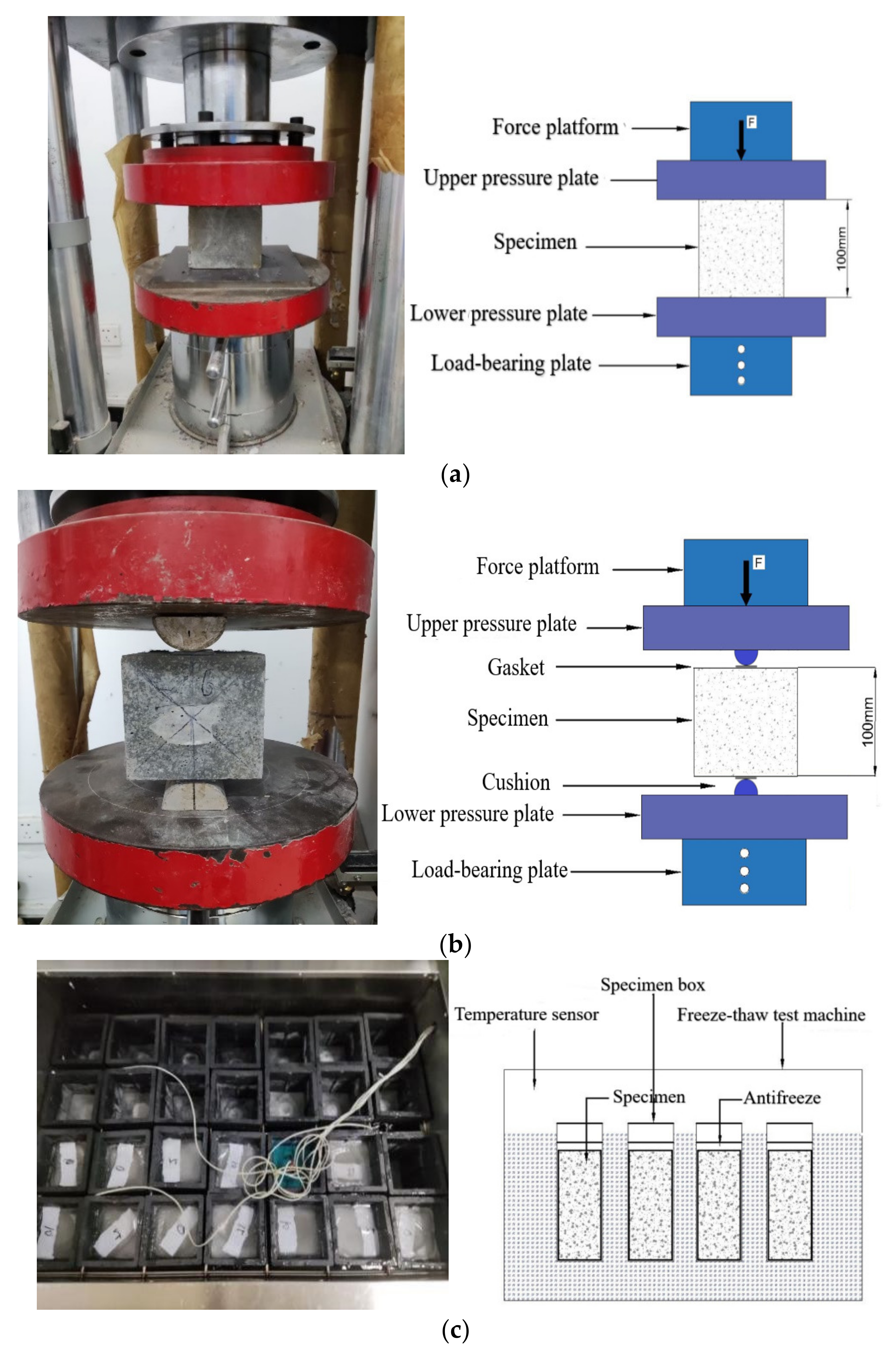 Polymers 14 04054 g003 Polymers 14 04054 g003