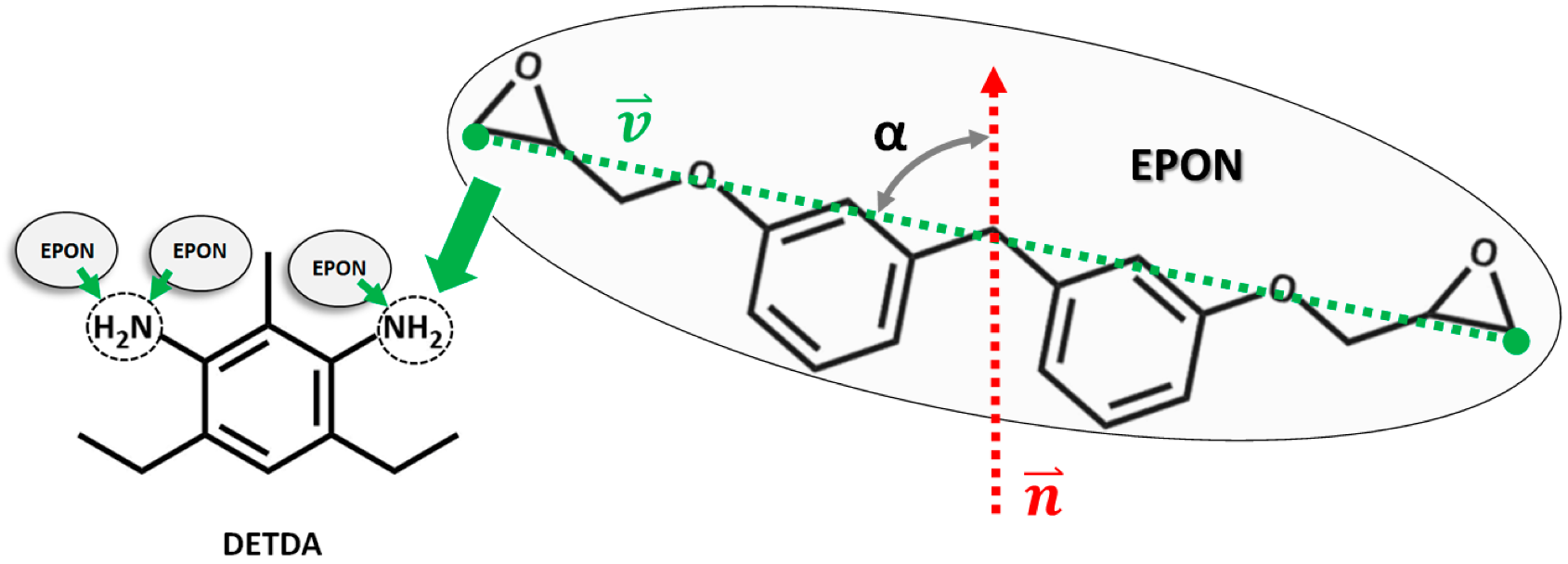 Heterogeneous dynamics in the curing process of epoxy resins