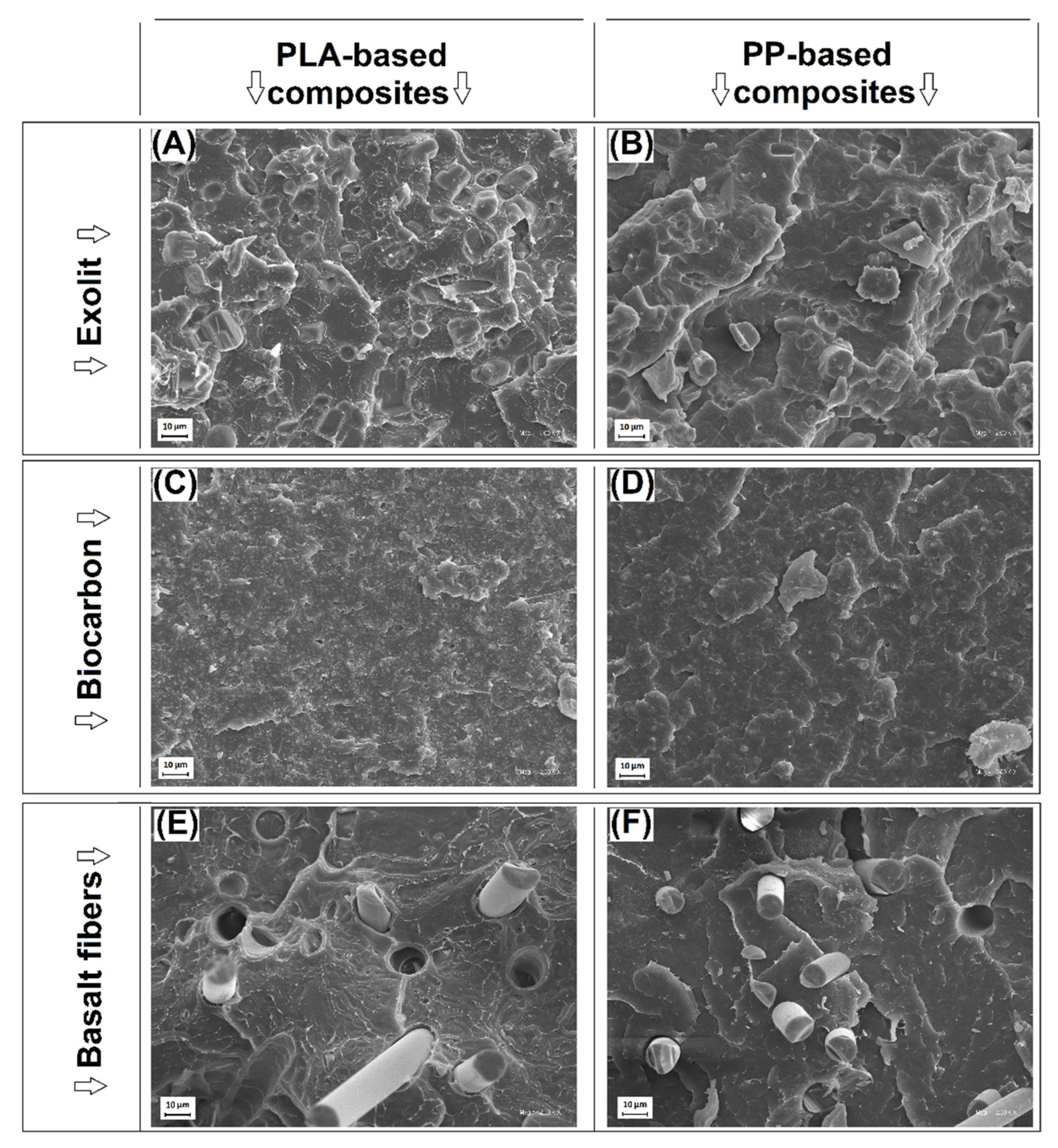 Polymers 14 04086 g001