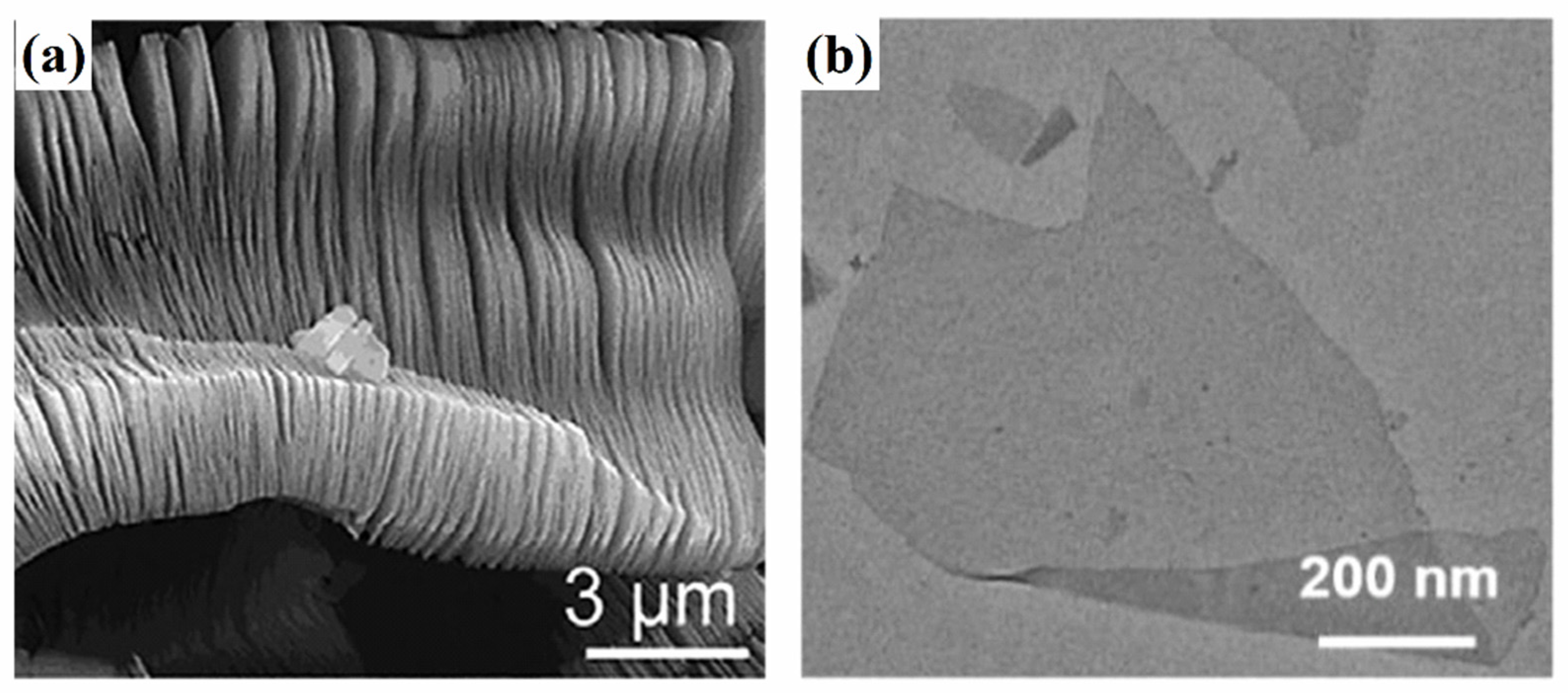 Polymers 14 04094 g003 Polymers 14 04094 g003