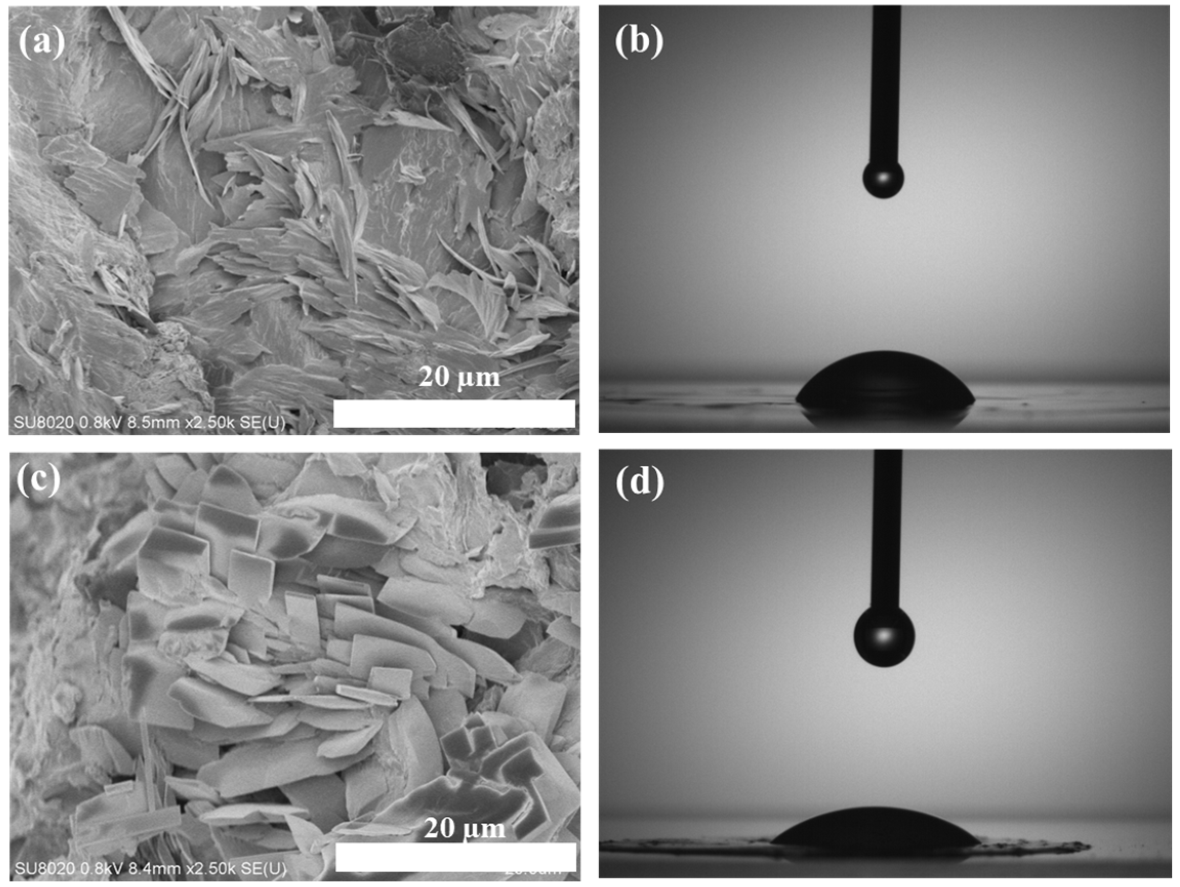 Polymers 14 04100 g004 Polymers 14 04100 g004