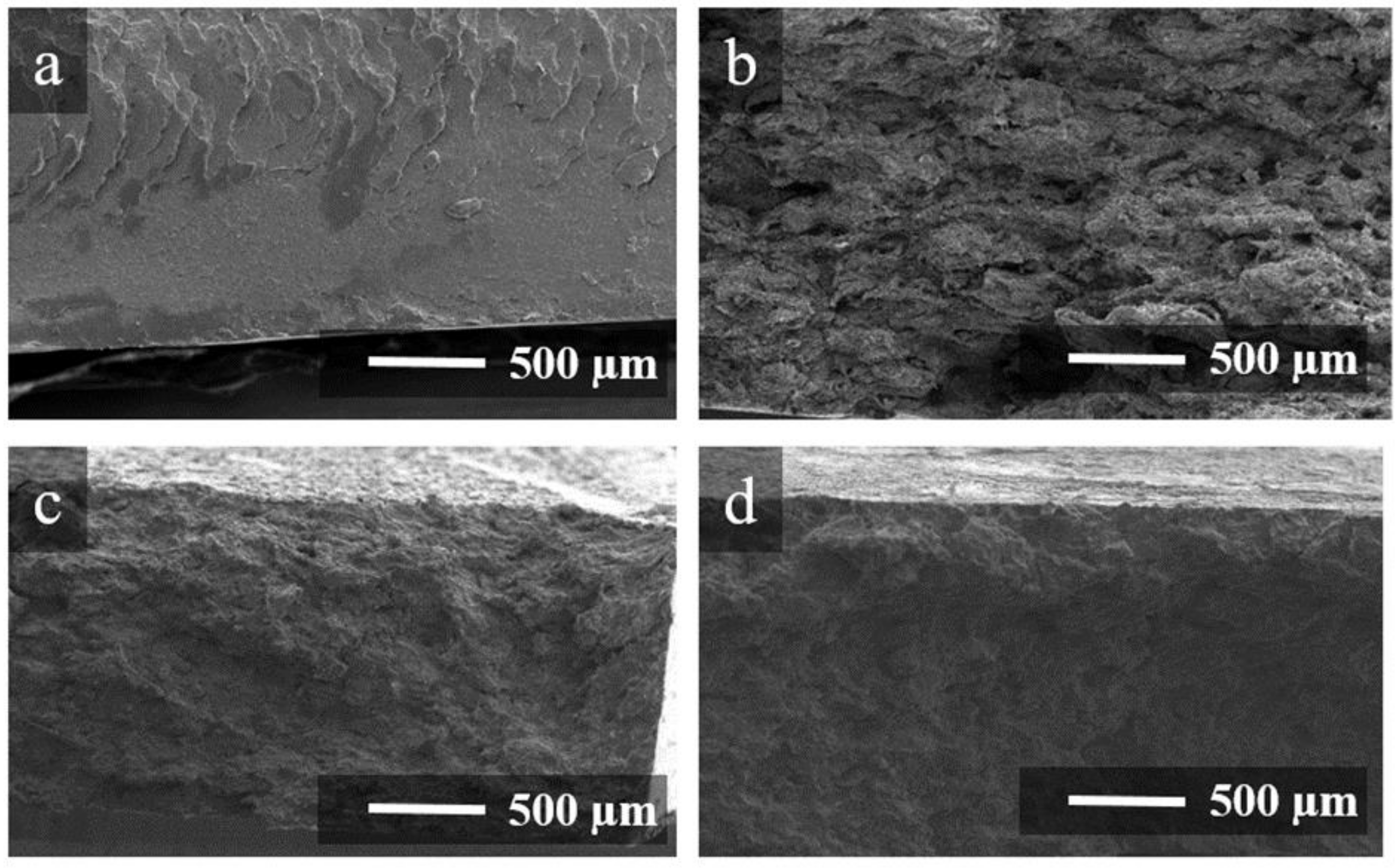 Polymers 14 04105 g002 Polymers 14 04105 g002