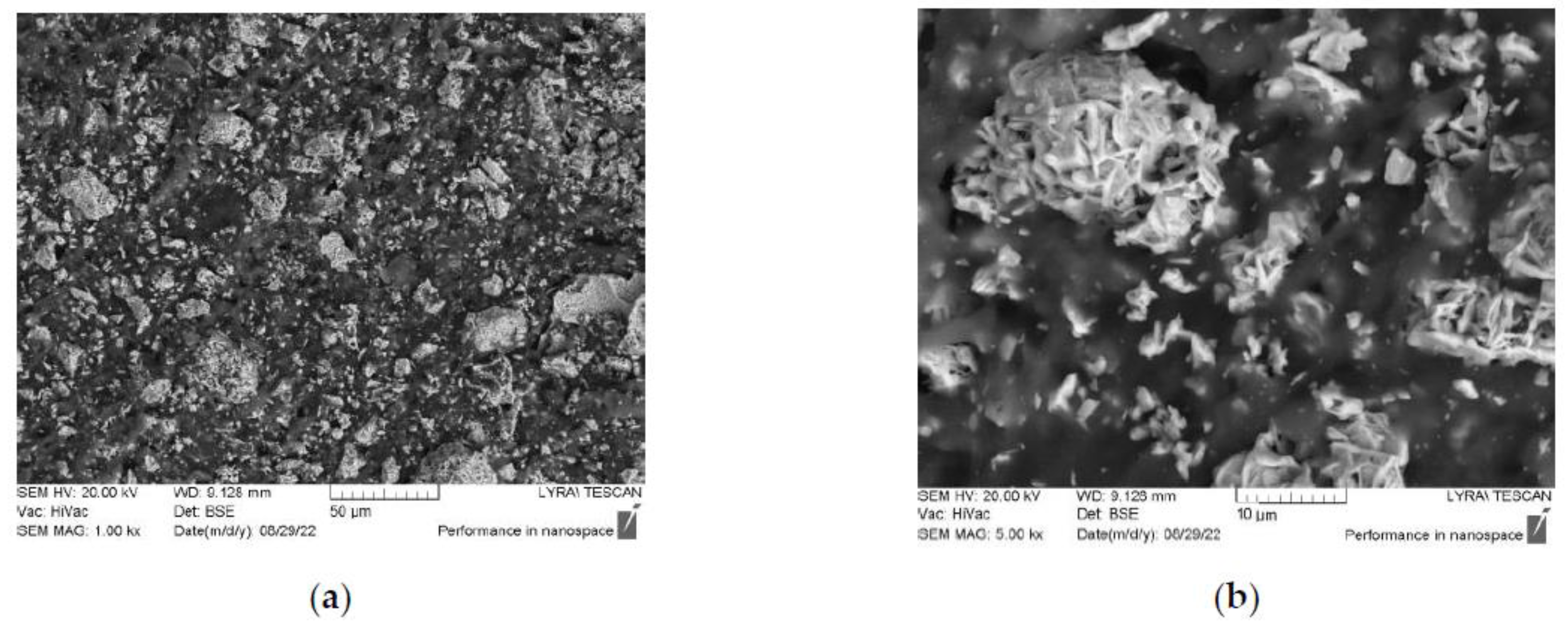Polymers 14 04114 g001