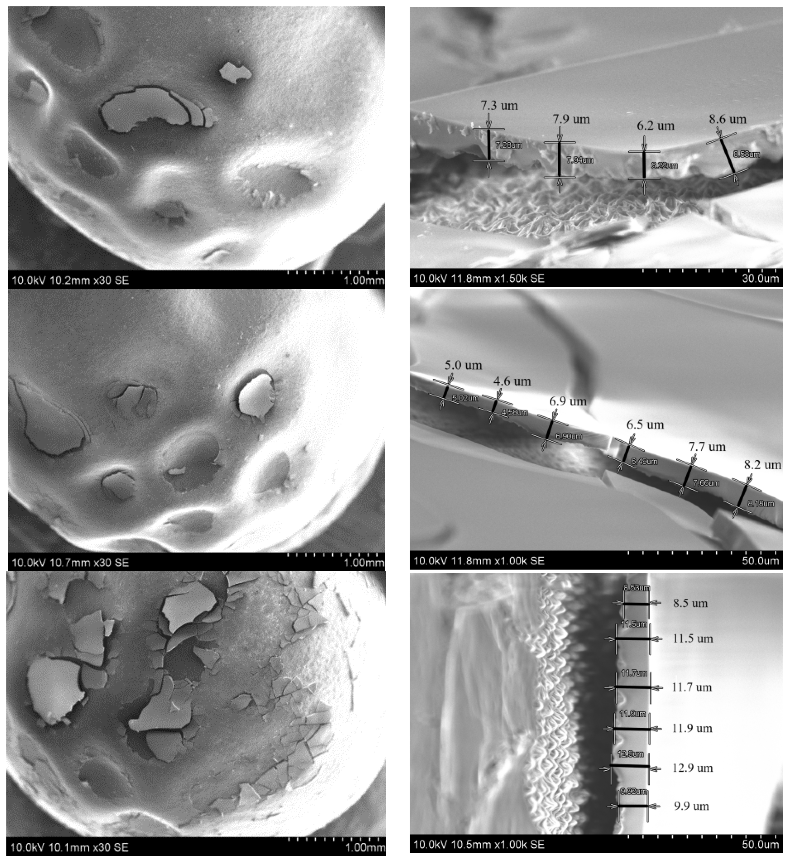 Polymers 14 04119 g002b Polymers 14 04119 g002b