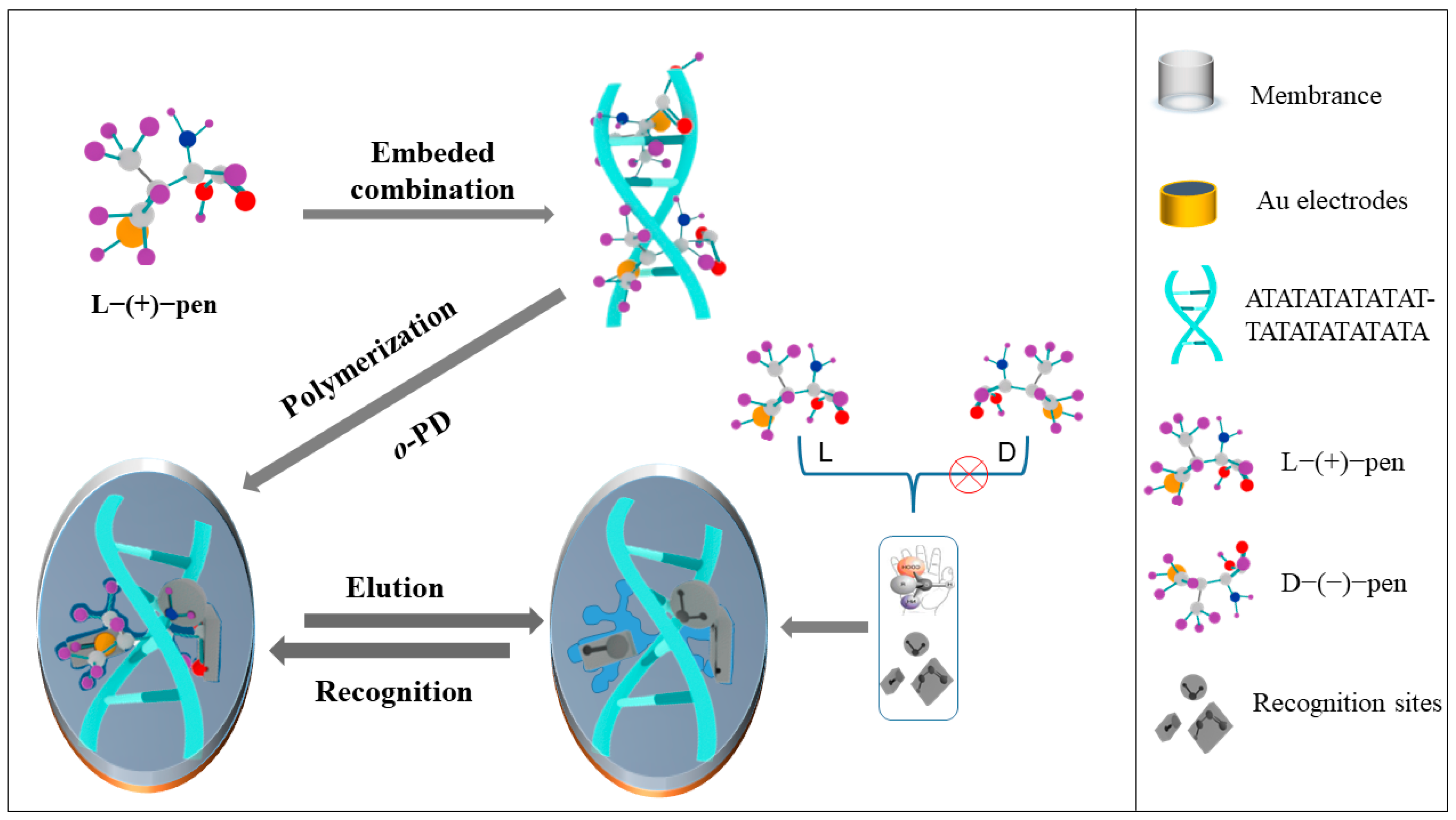 Polymers 14 04133 sch001