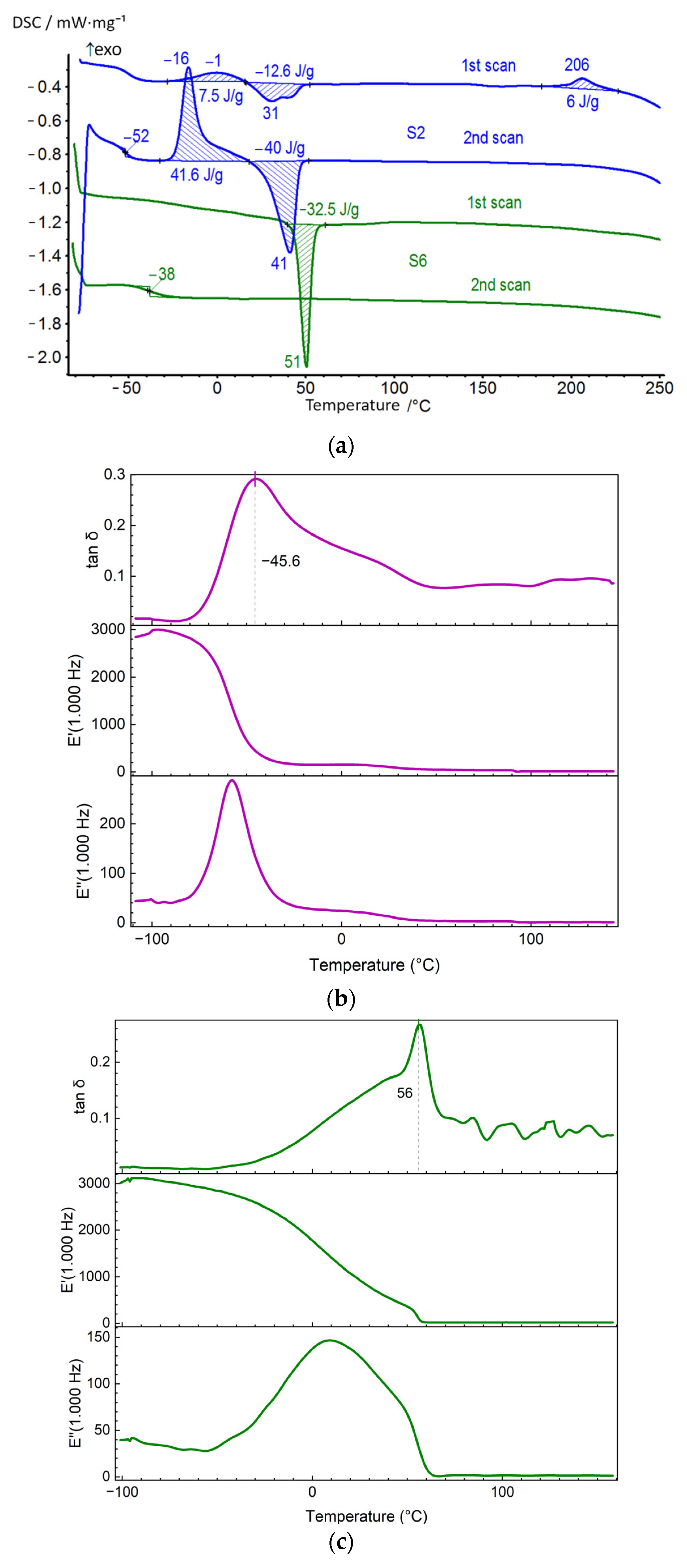 Polymers 14 04145 g007