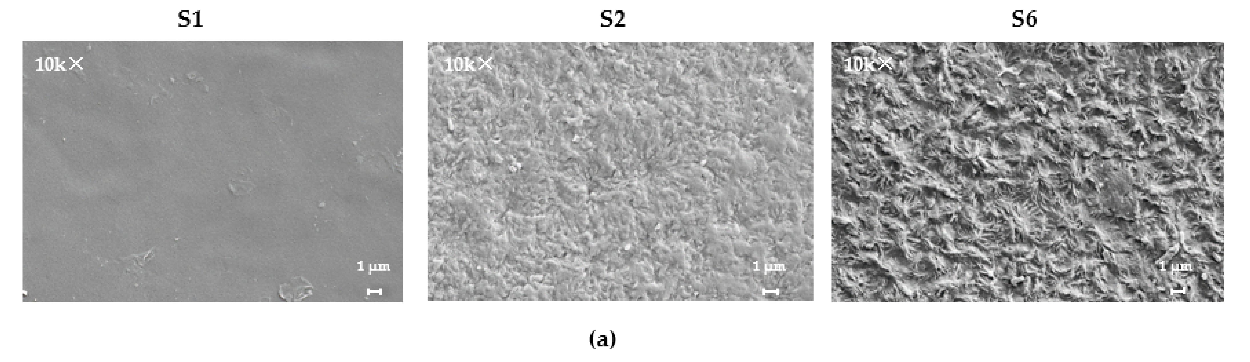 Polymers 14 04145 g010a