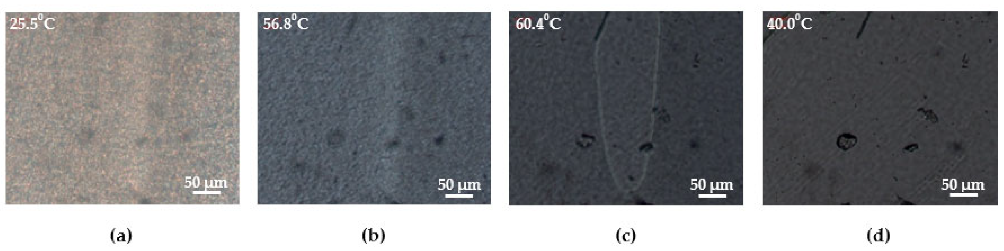 Polymers 14 04145 g011