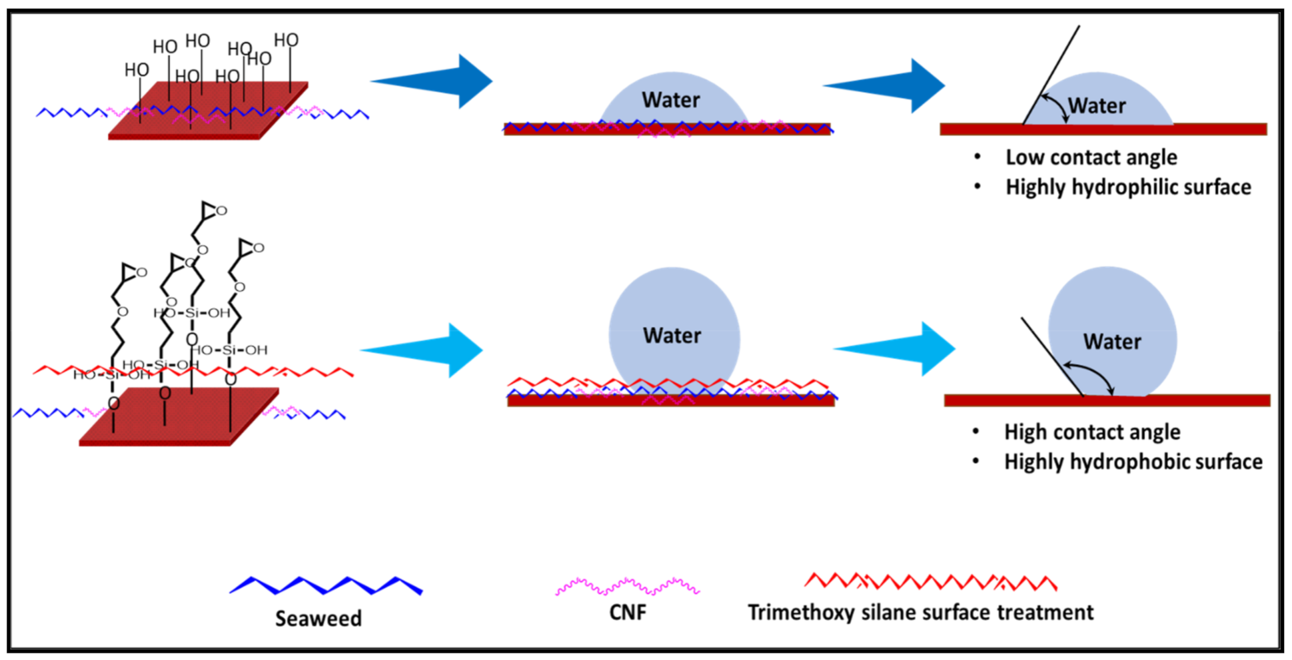 Polymers 14 04147 g004