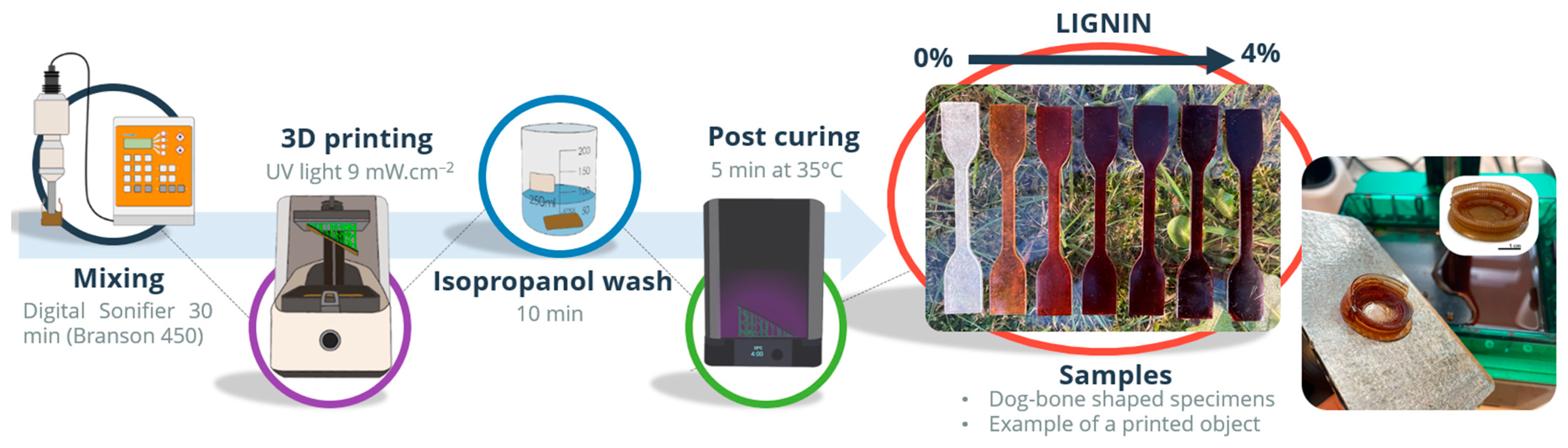 Polymers 14 04164 g001
