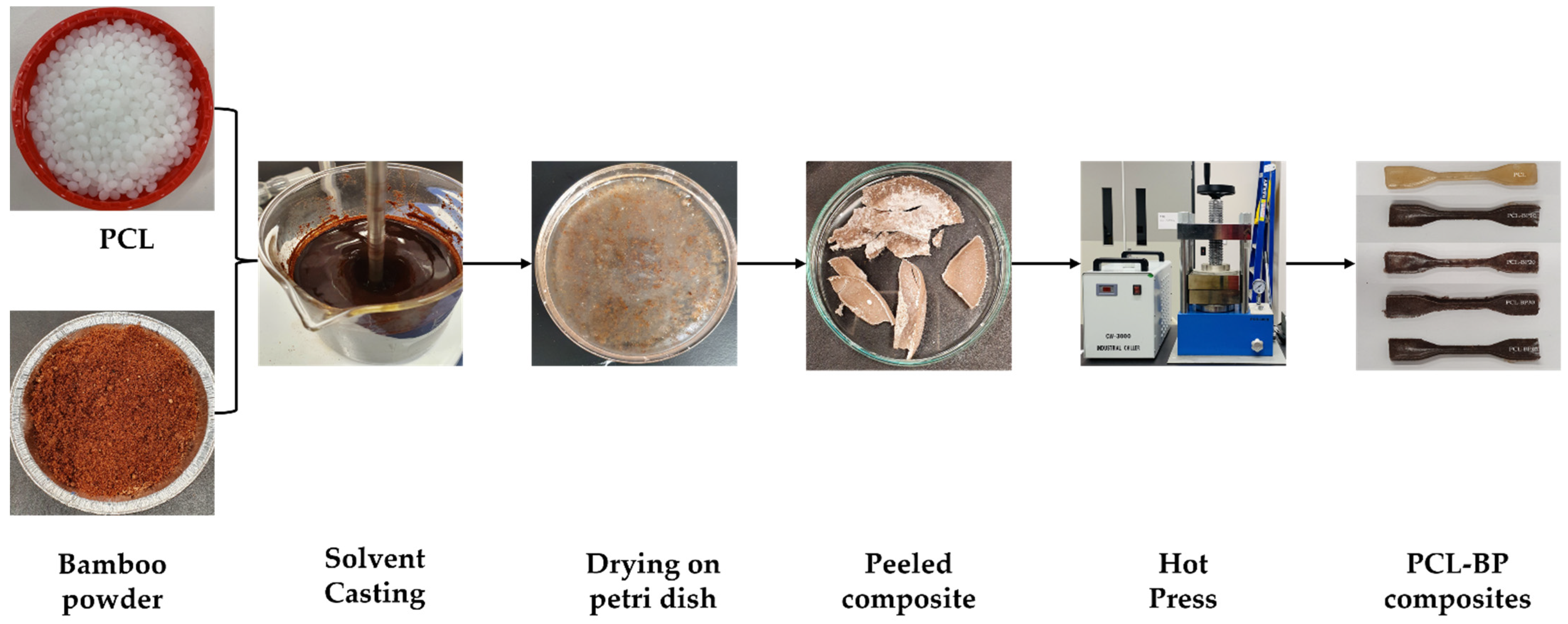 Polymers 14 04169 g001
