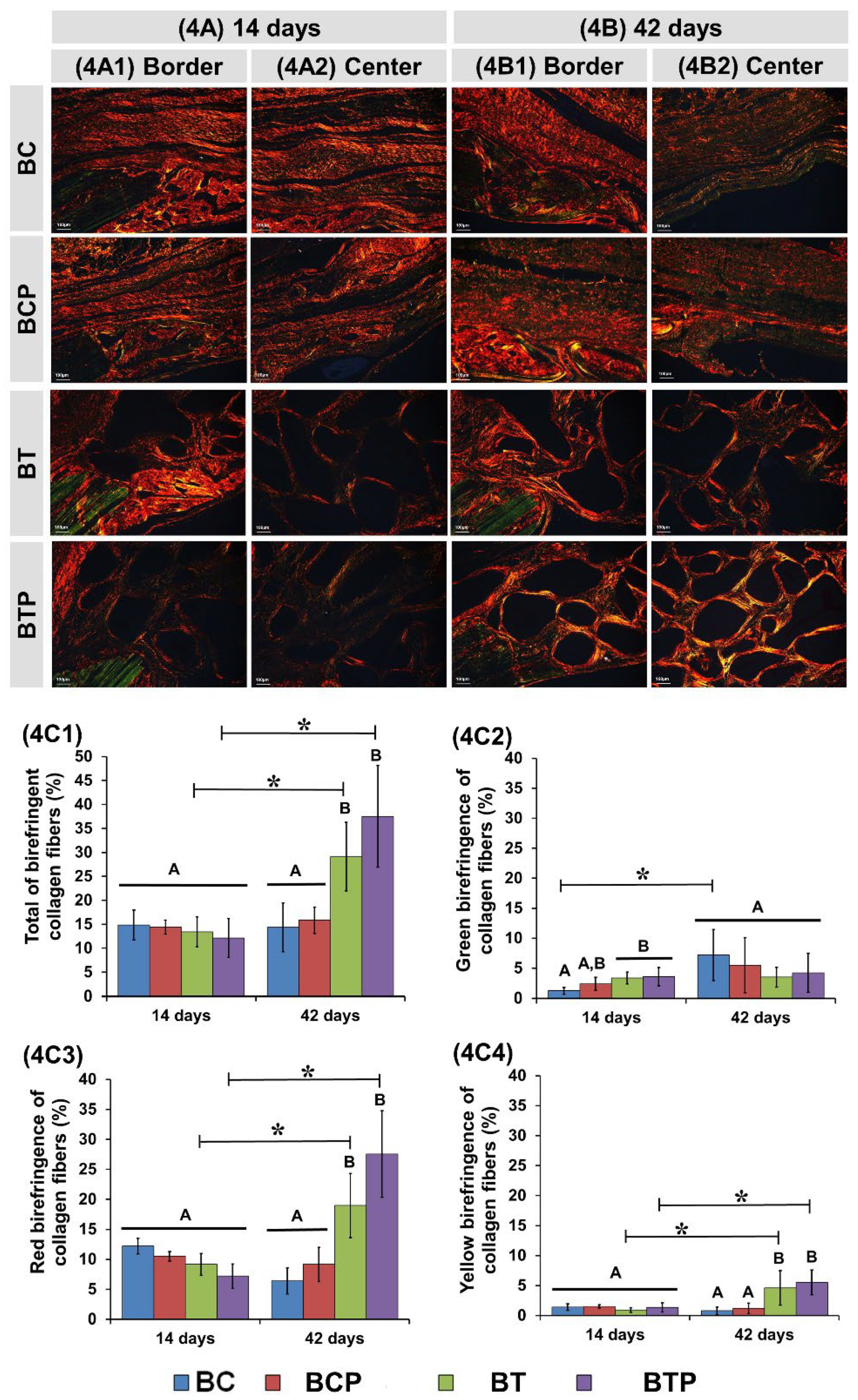 Polymers 14 04170 g004 Polymers 14 04170 g004