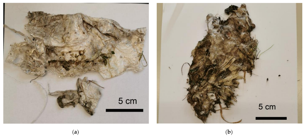 Polymers 14 04179 g004