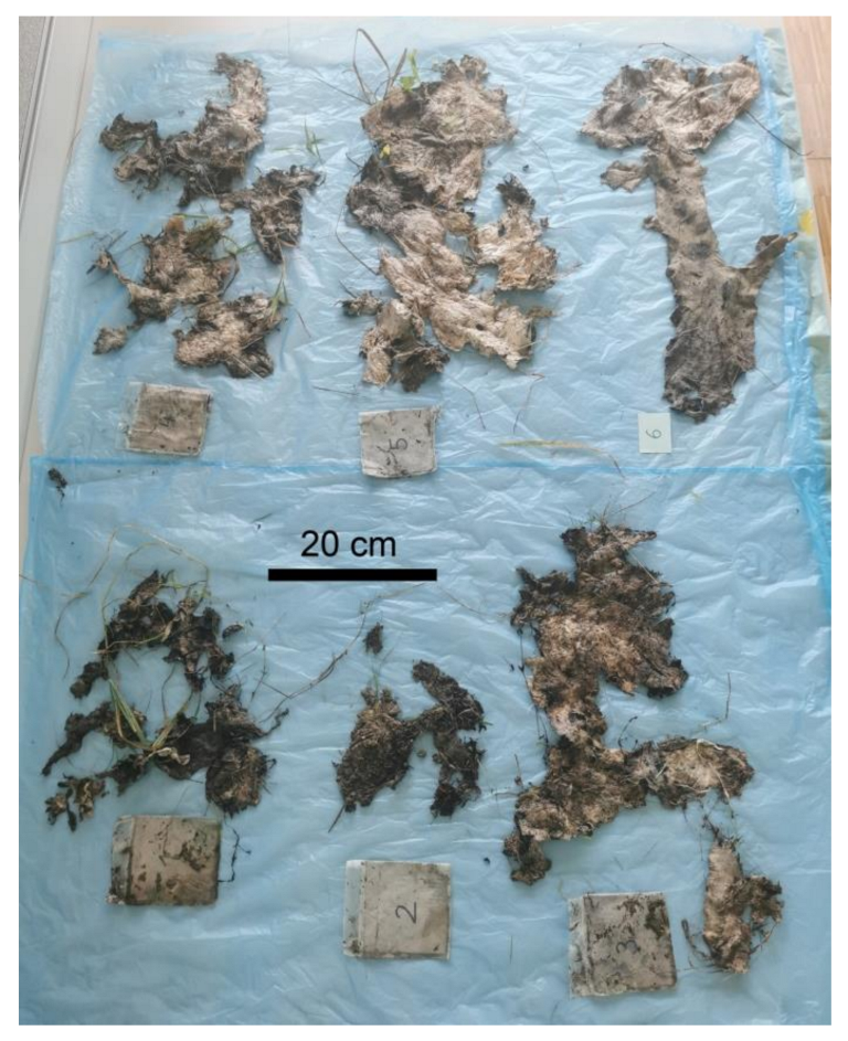 Polymers 14 04179 g005