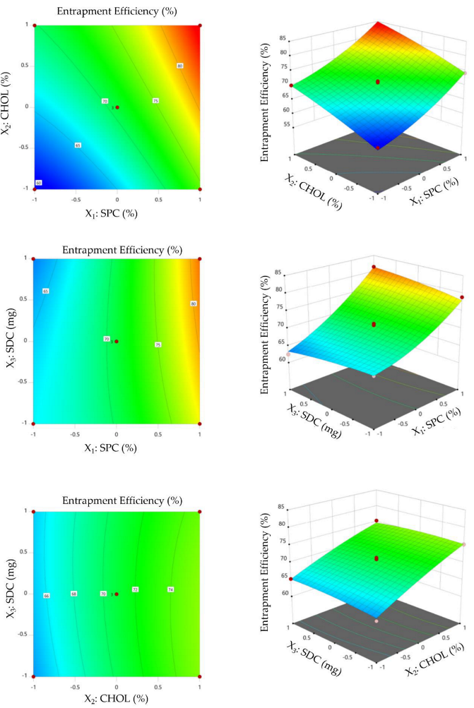 Polymers 14 04184 g002