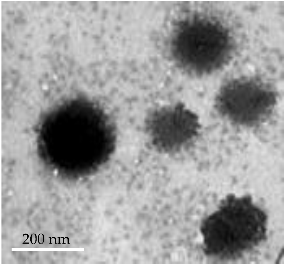 Polymers 14 04184 g004