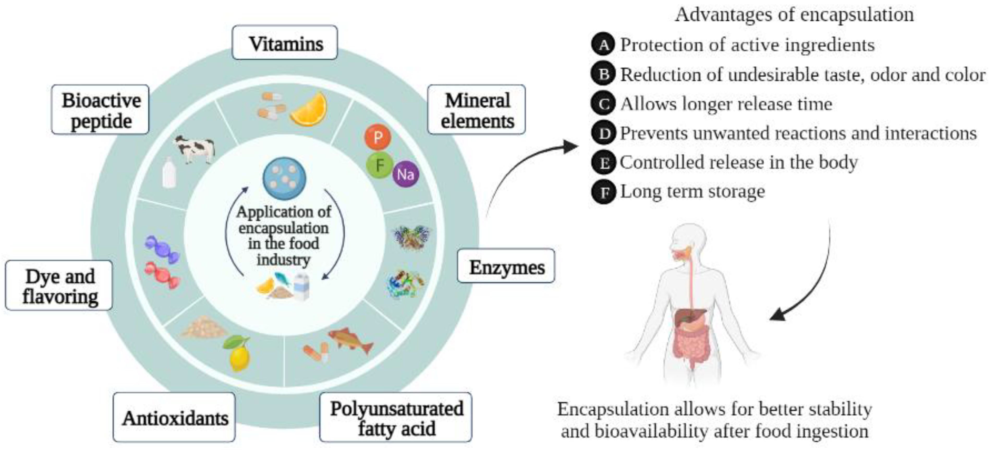 Polymers 14 04194 g004 Polymers 14 04194 g004