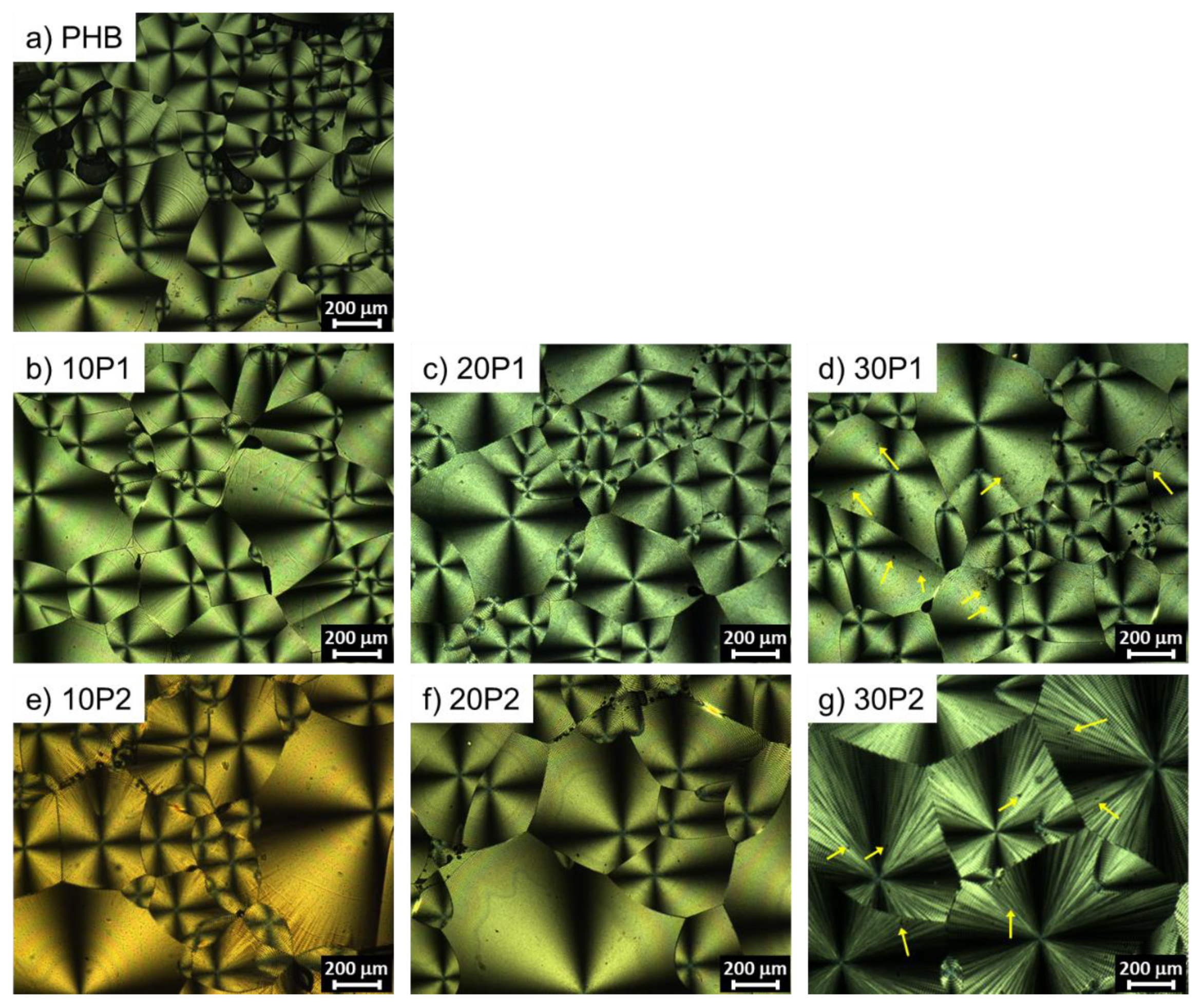 Polymers 14 04197 g007 Polymers 14 04197 g007