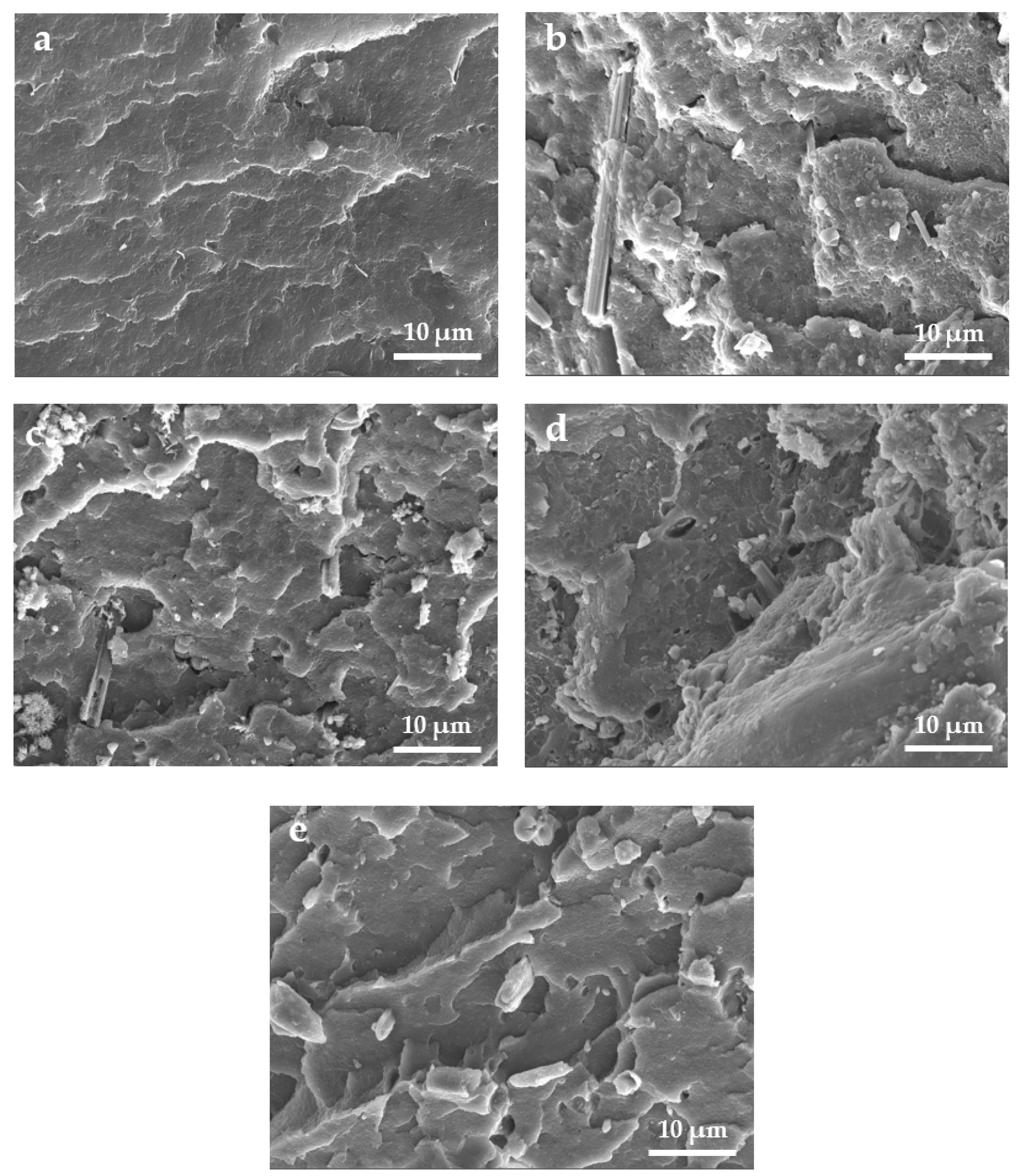Polymers 14 04199 g008 Polymers 14 04199 g008