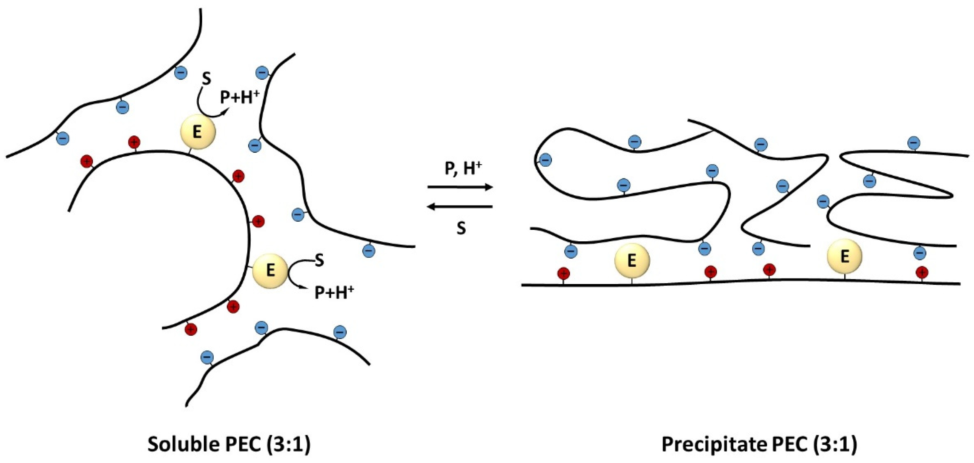 Polymers 14 04204 g001 Polymers 14 04204 g001