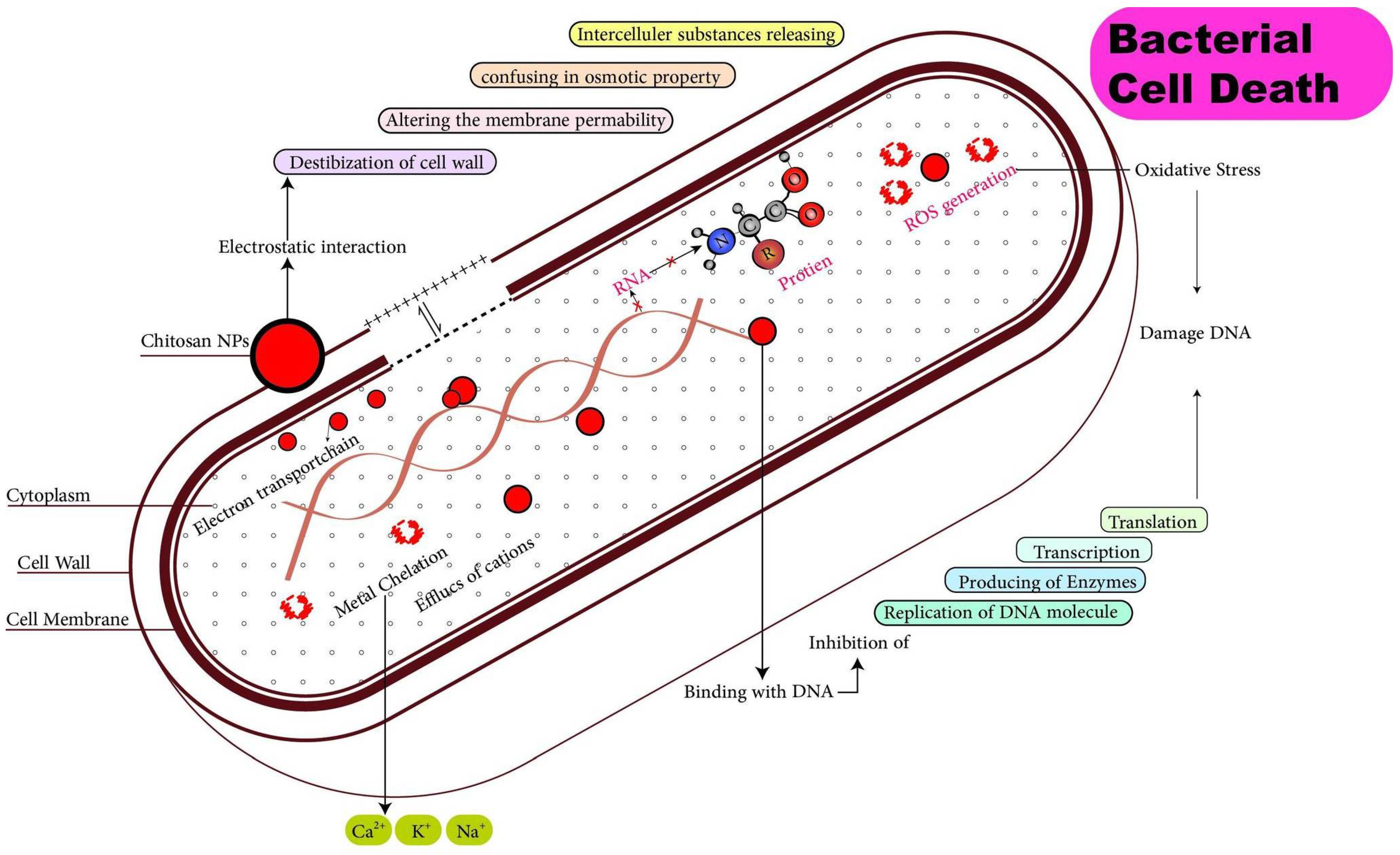 Polymers 14 04211 g009