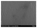 Polymers 14 04213 i006 Polymers 14 04213 i006