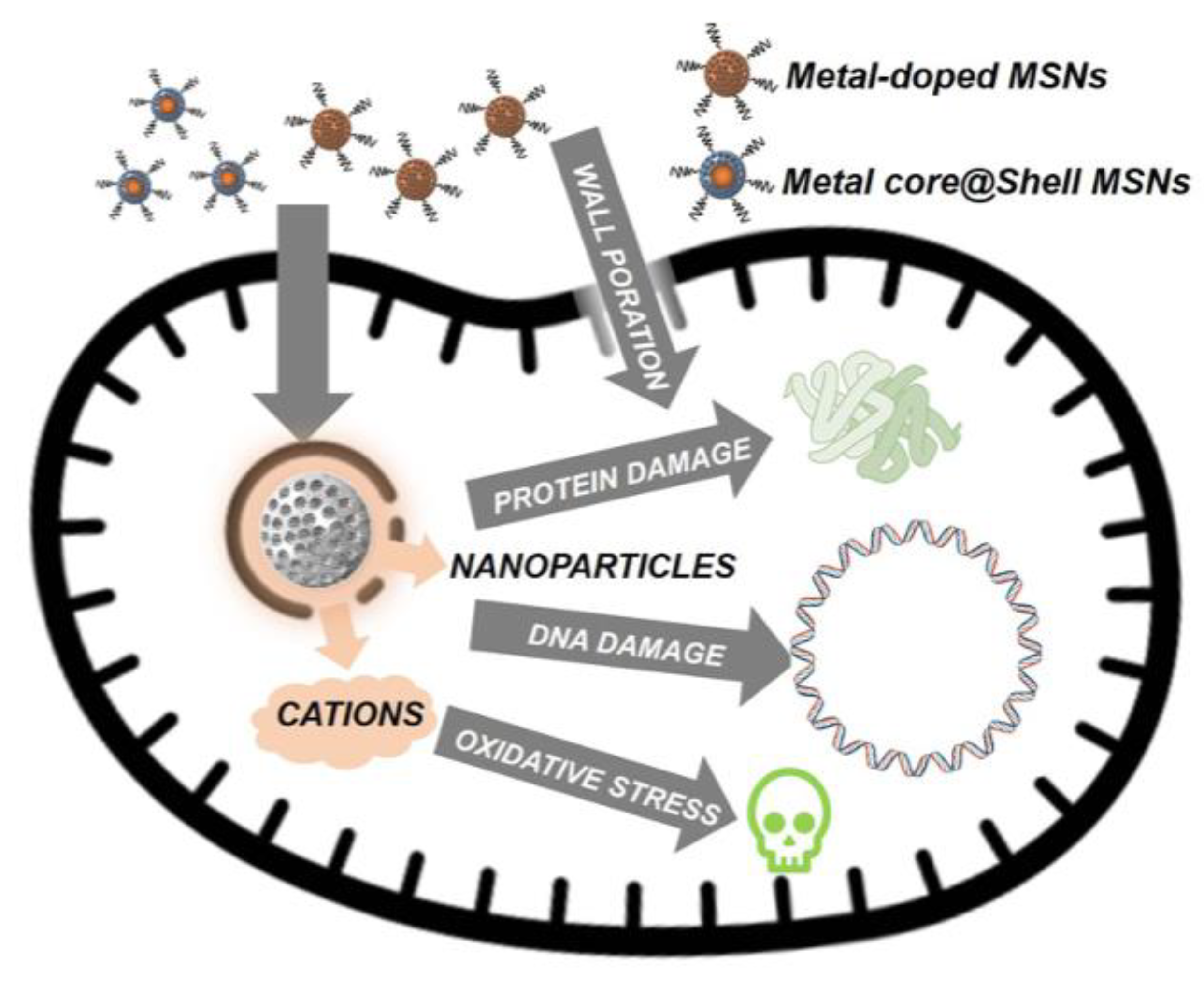 Polymers 14 04219 g004 Polymers 14 04219 g004