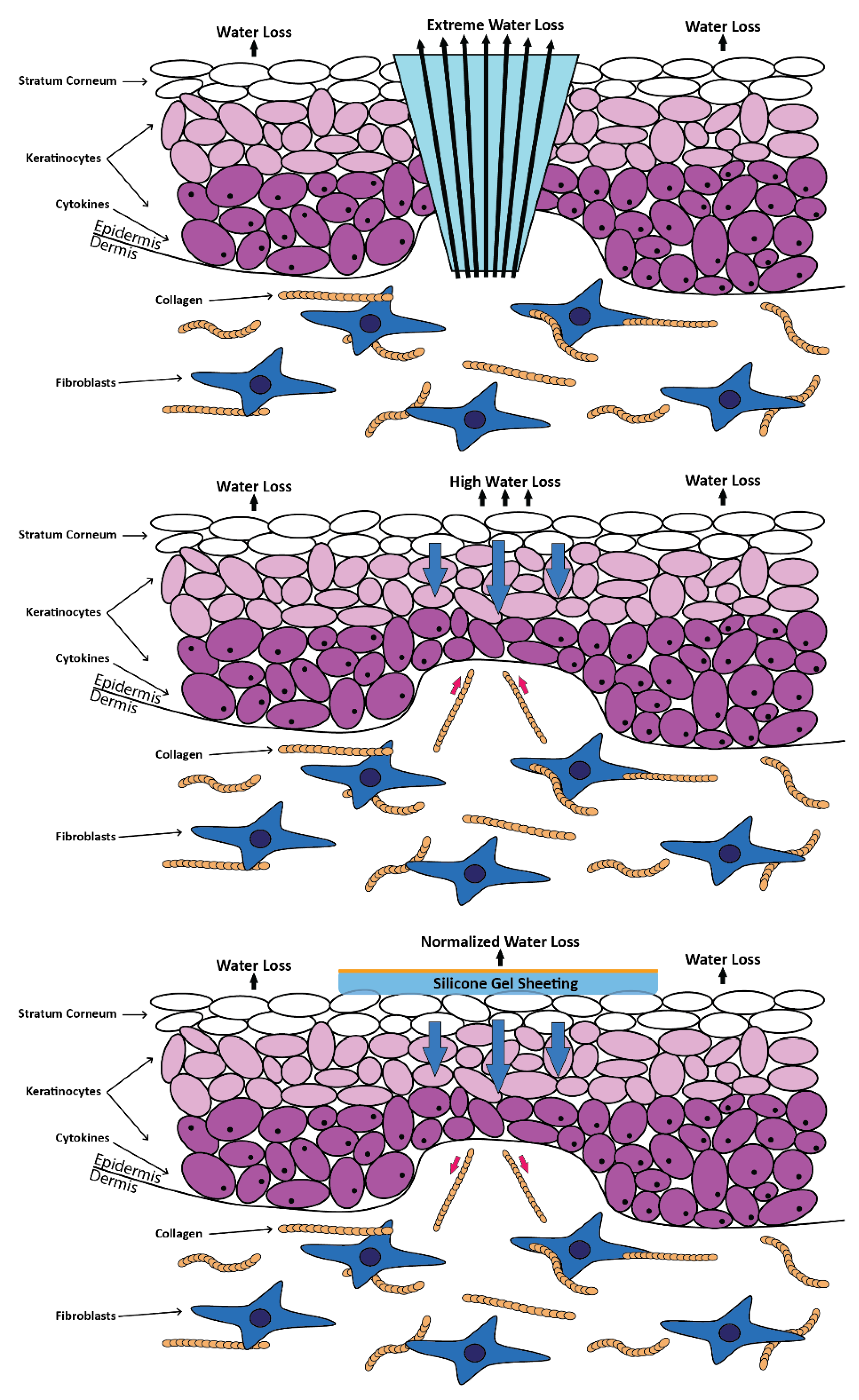 Polymers 14 04219 g005 Polymers 14 04219 g005