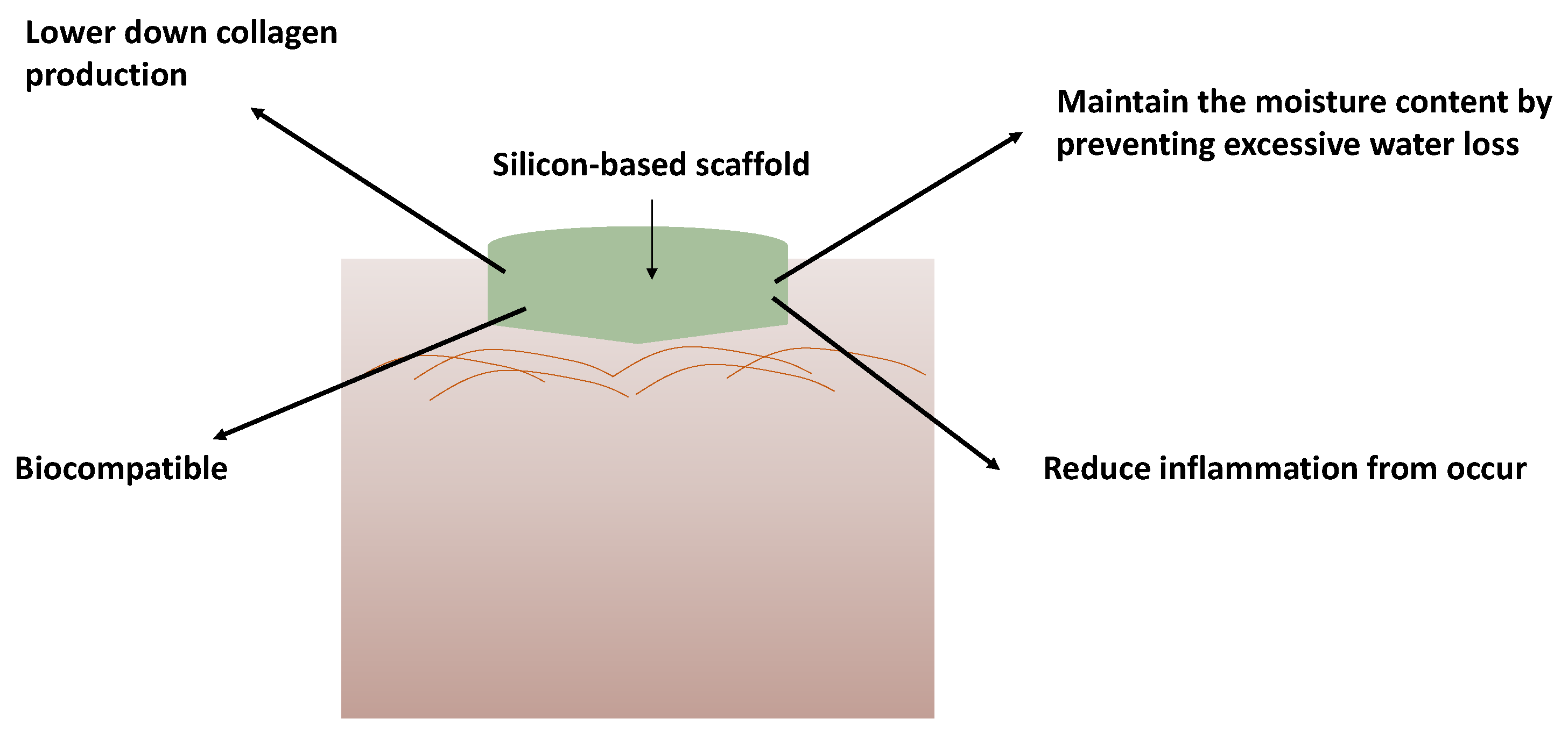 Polymers 14 04219 g006 Polymers 14 04219 g006