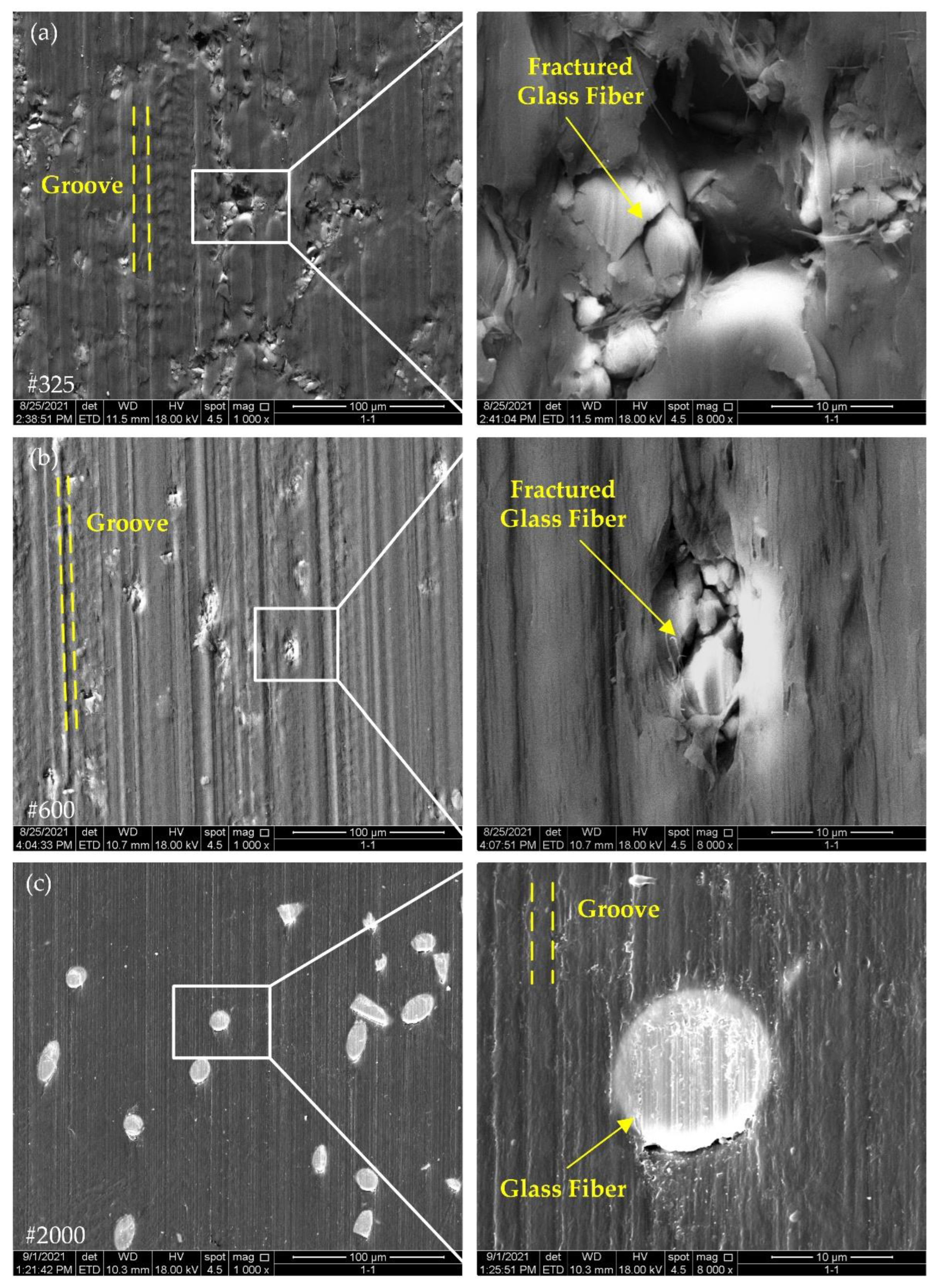 Polymers 14 04223 g009