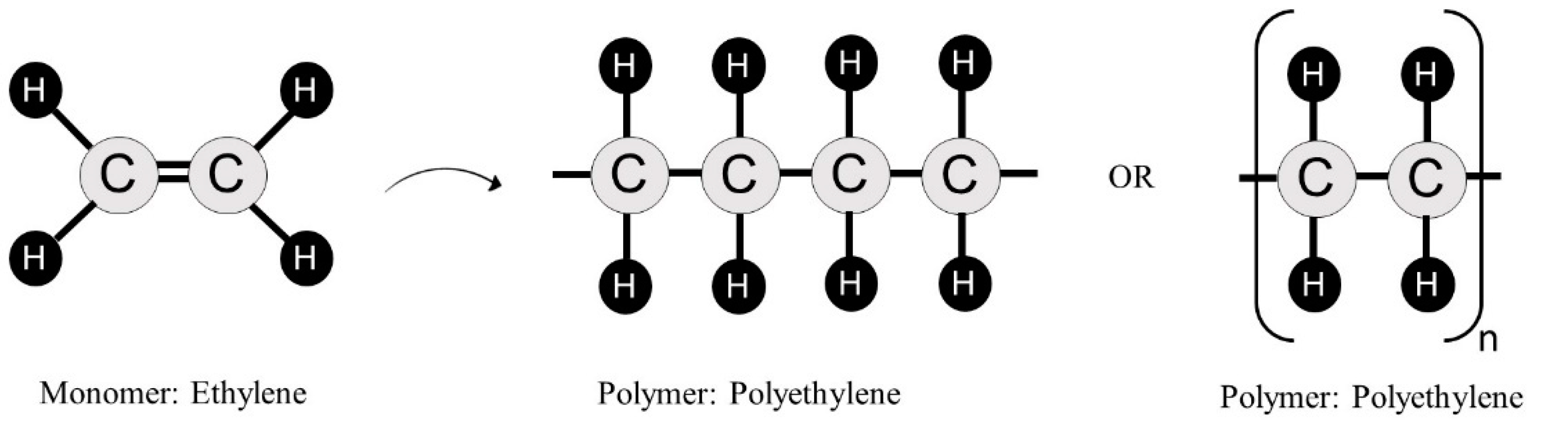 Polymers 14 04225 g001