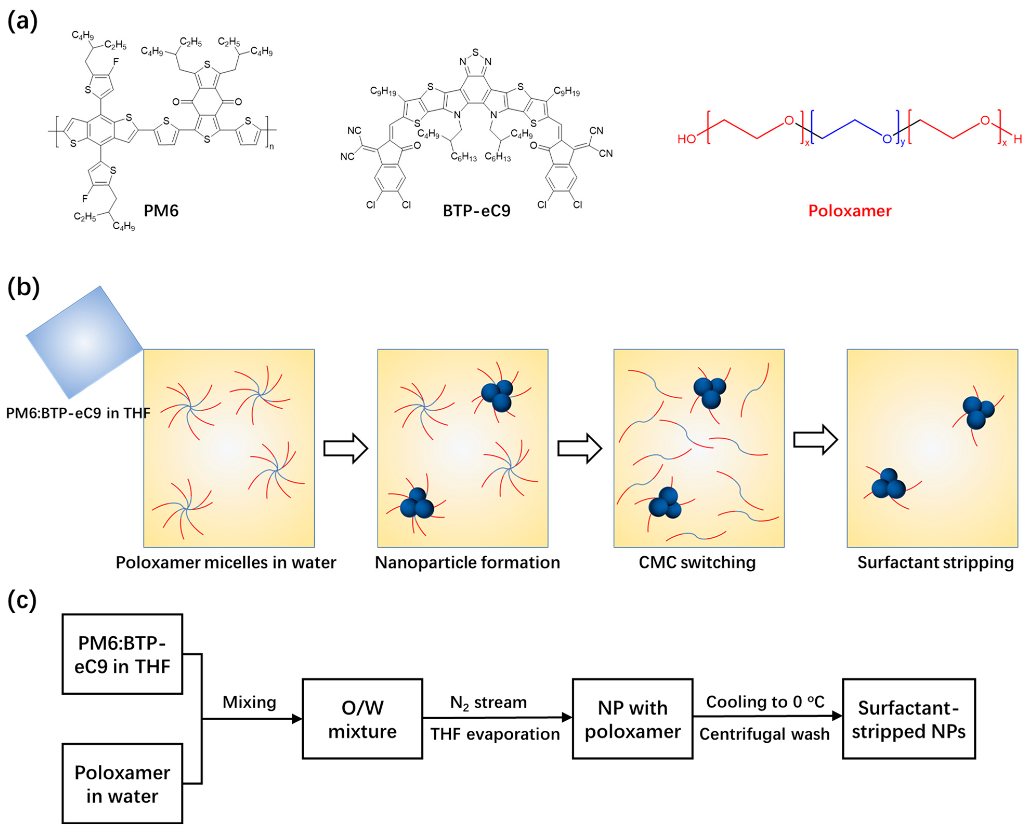 Polymers 14 04229 g001