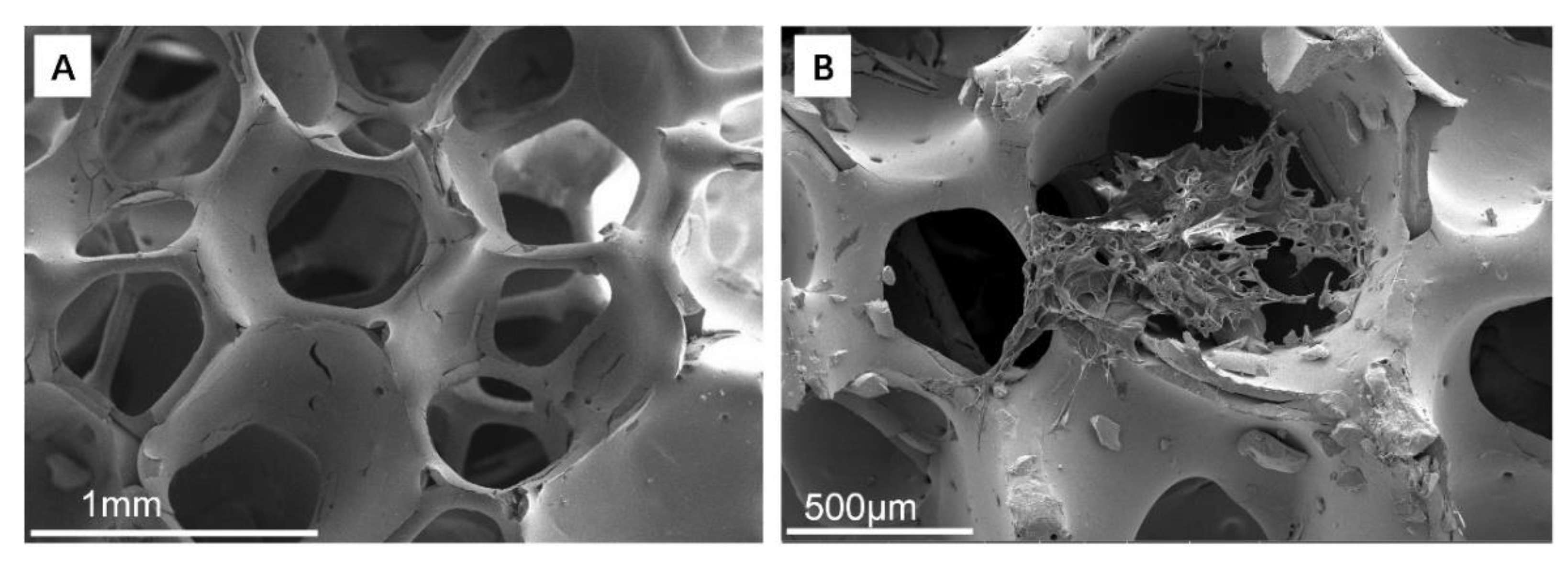 Polymers 14 04233 g003 Polymers 14 04233 g003
