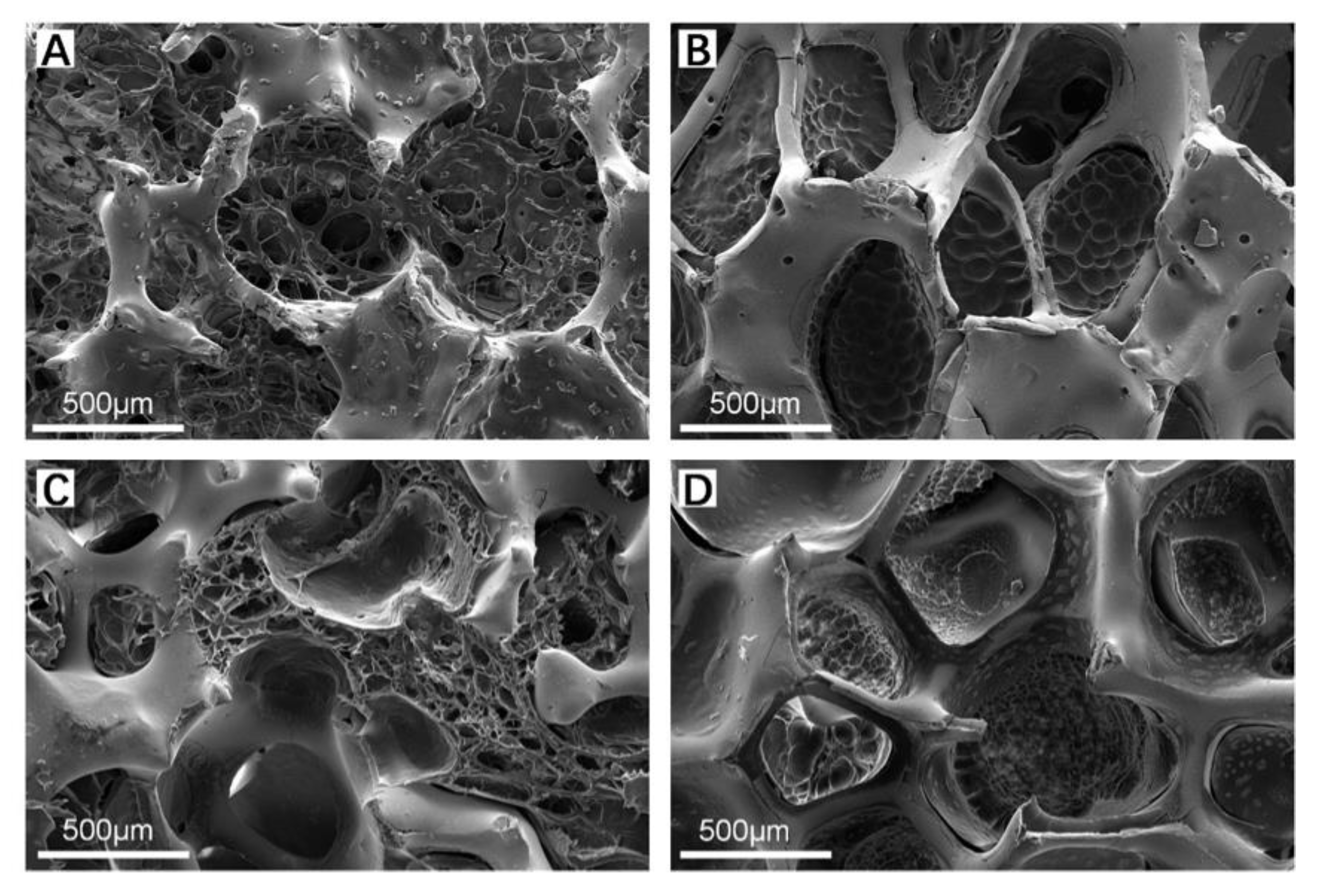 Polymers 14 04233 g004 Polymers 14 04233 g004