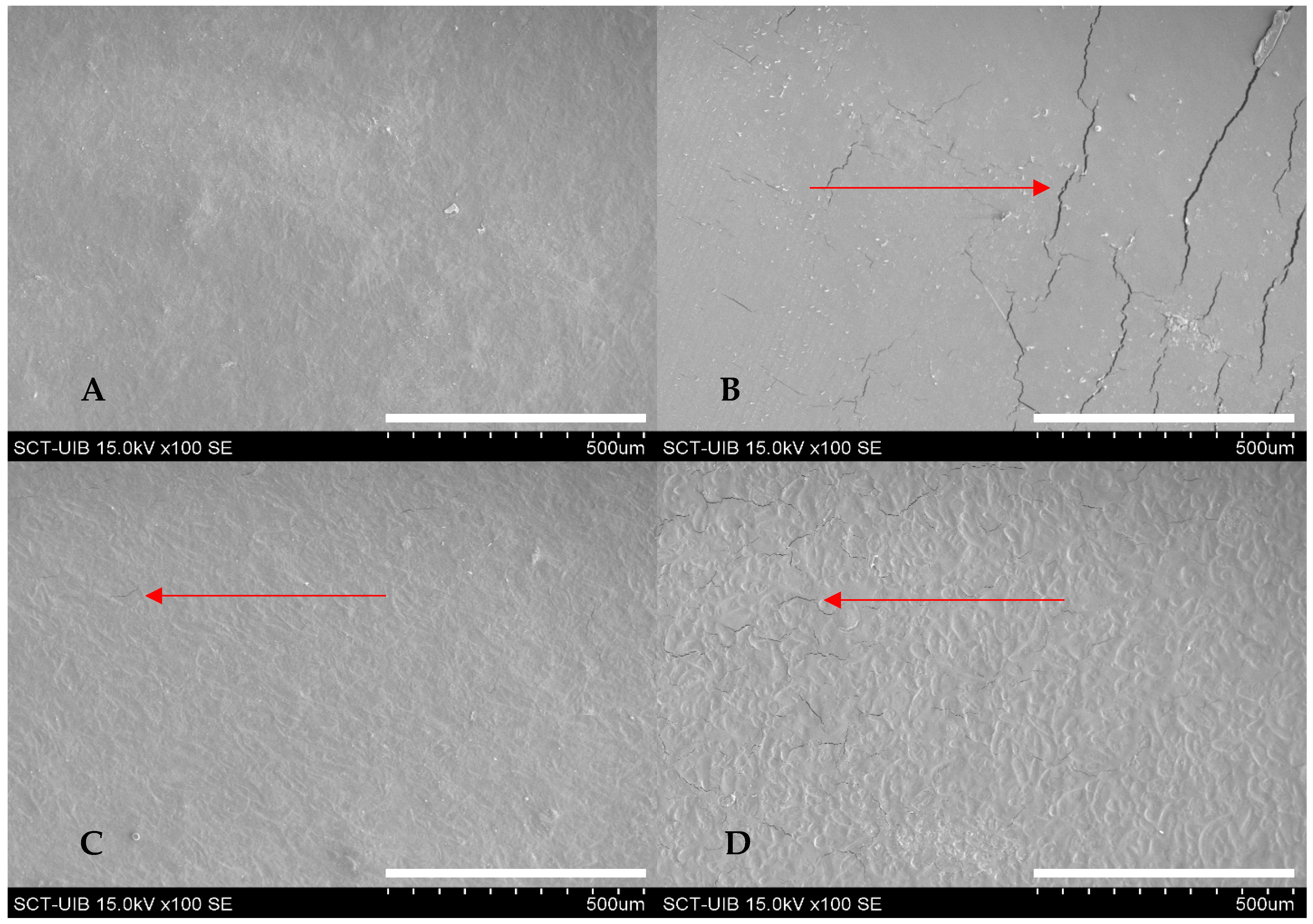 Polymers 14 04251 g002 Polymers 14 04251 g002