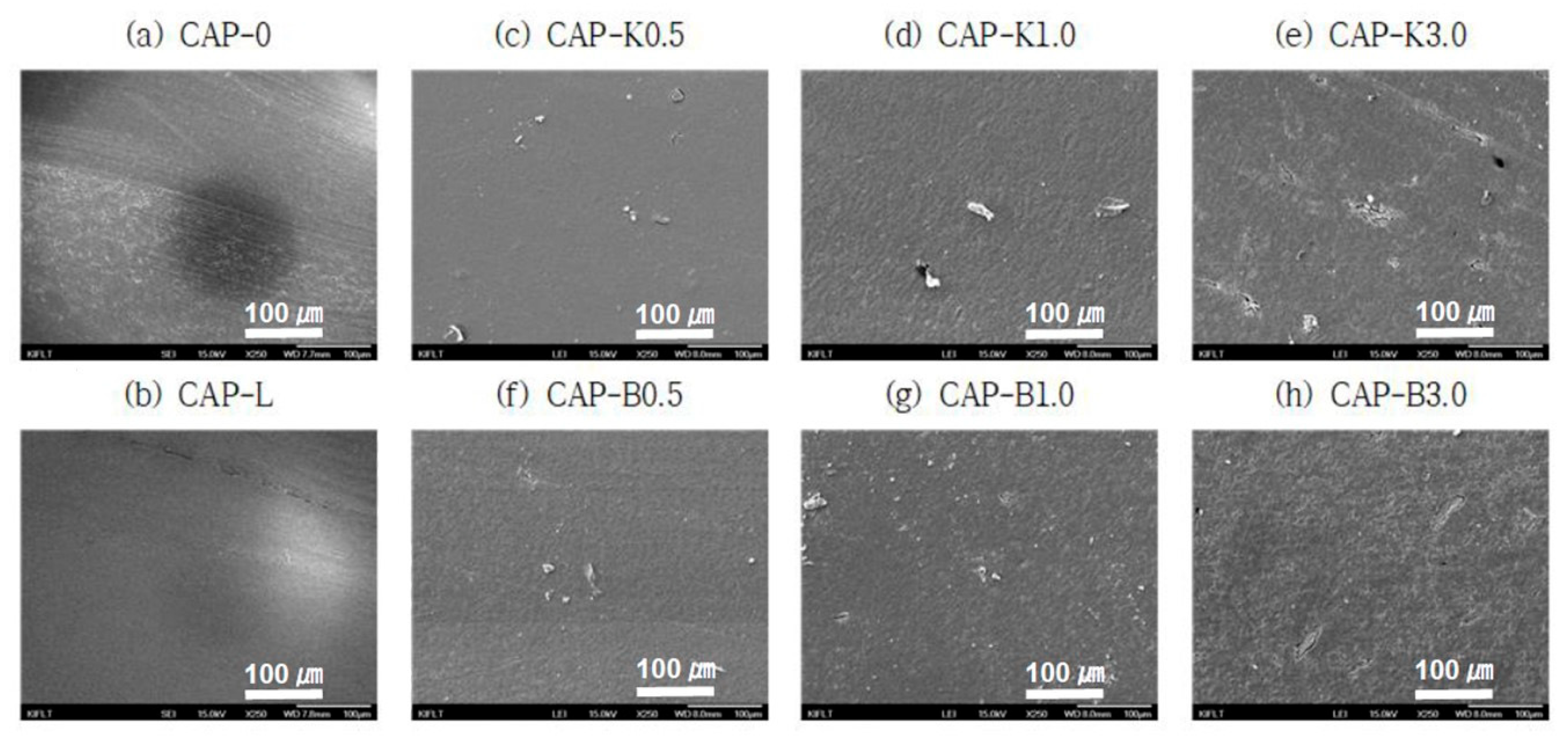 Polymers 14 04286 g014 Polymers 14 04286 g014