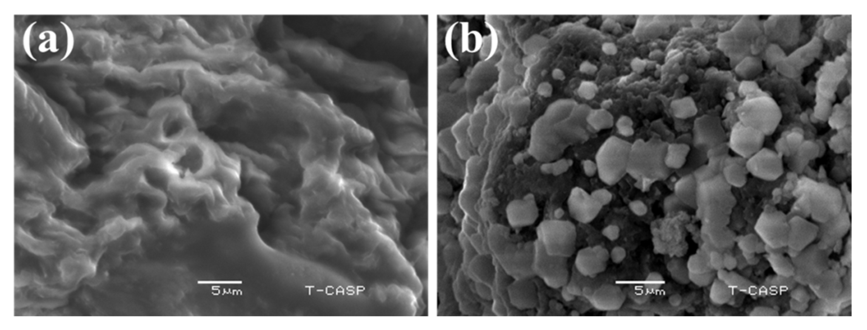 Polymers 14 04290 g008